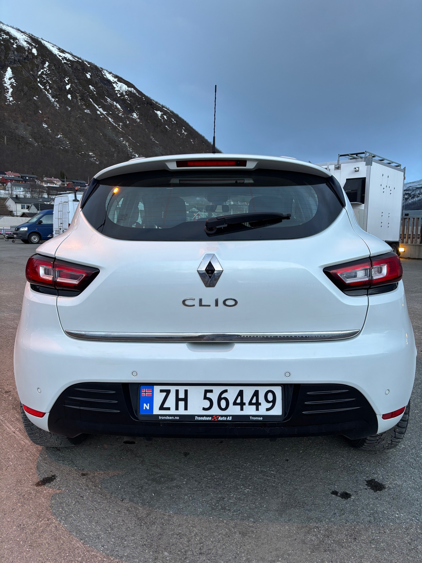 Renault Clio 0.9 TCe Manual, 90hp, 2019