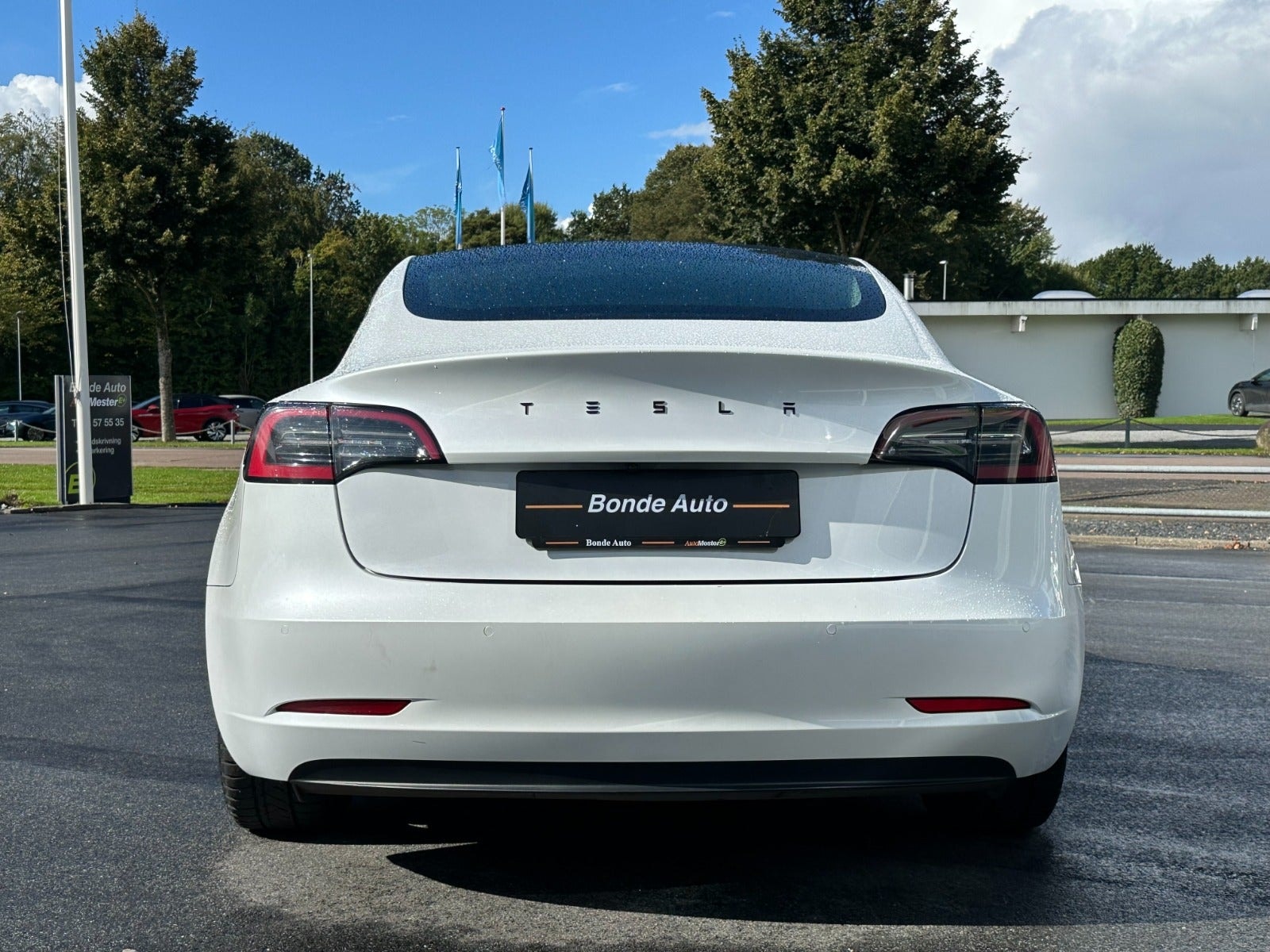 Tesla Model 3 Standard Range Plus, 283ps, 2020