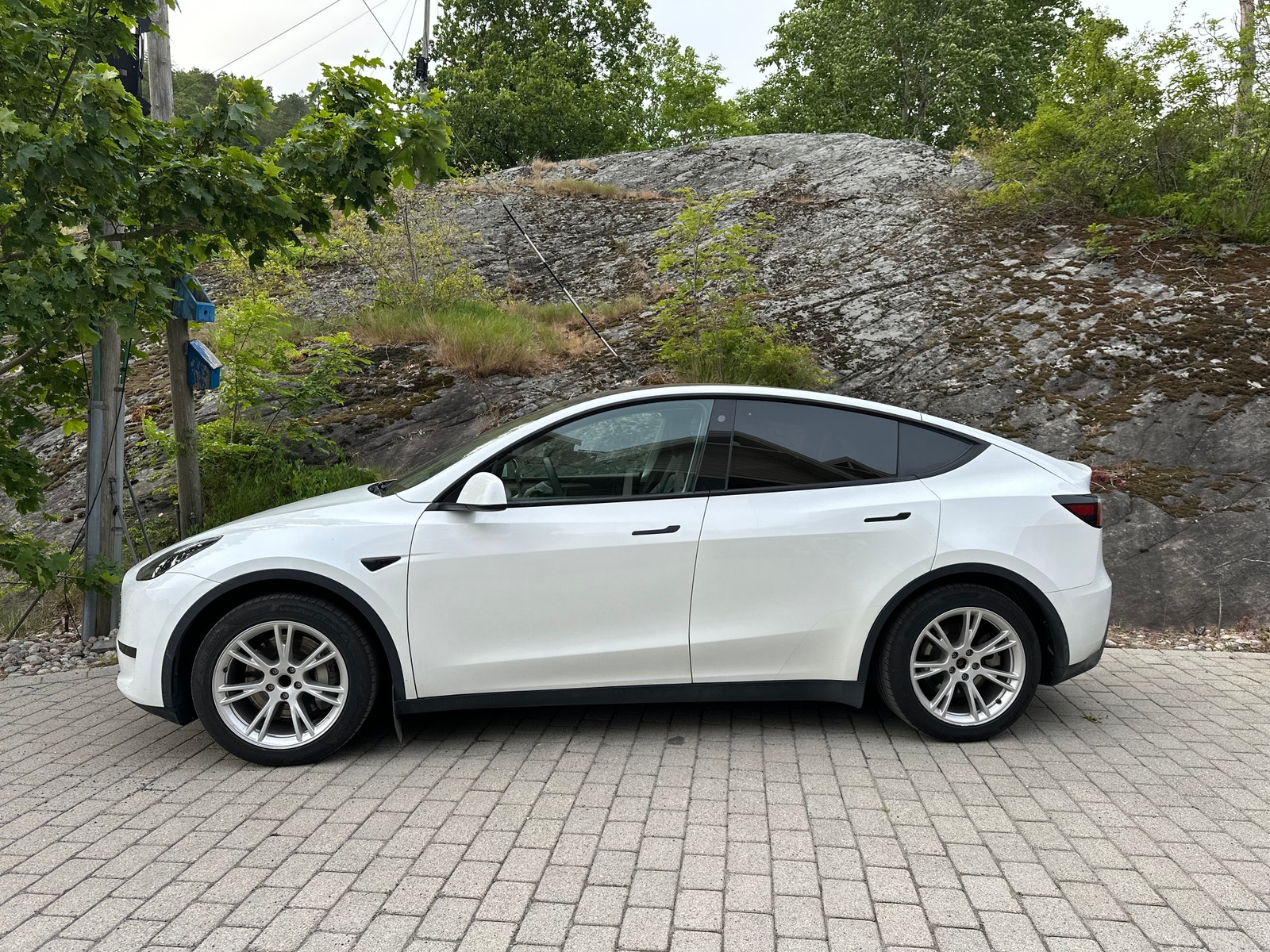 Tesla Model Y Standard Range RWD, 299hp, 2024