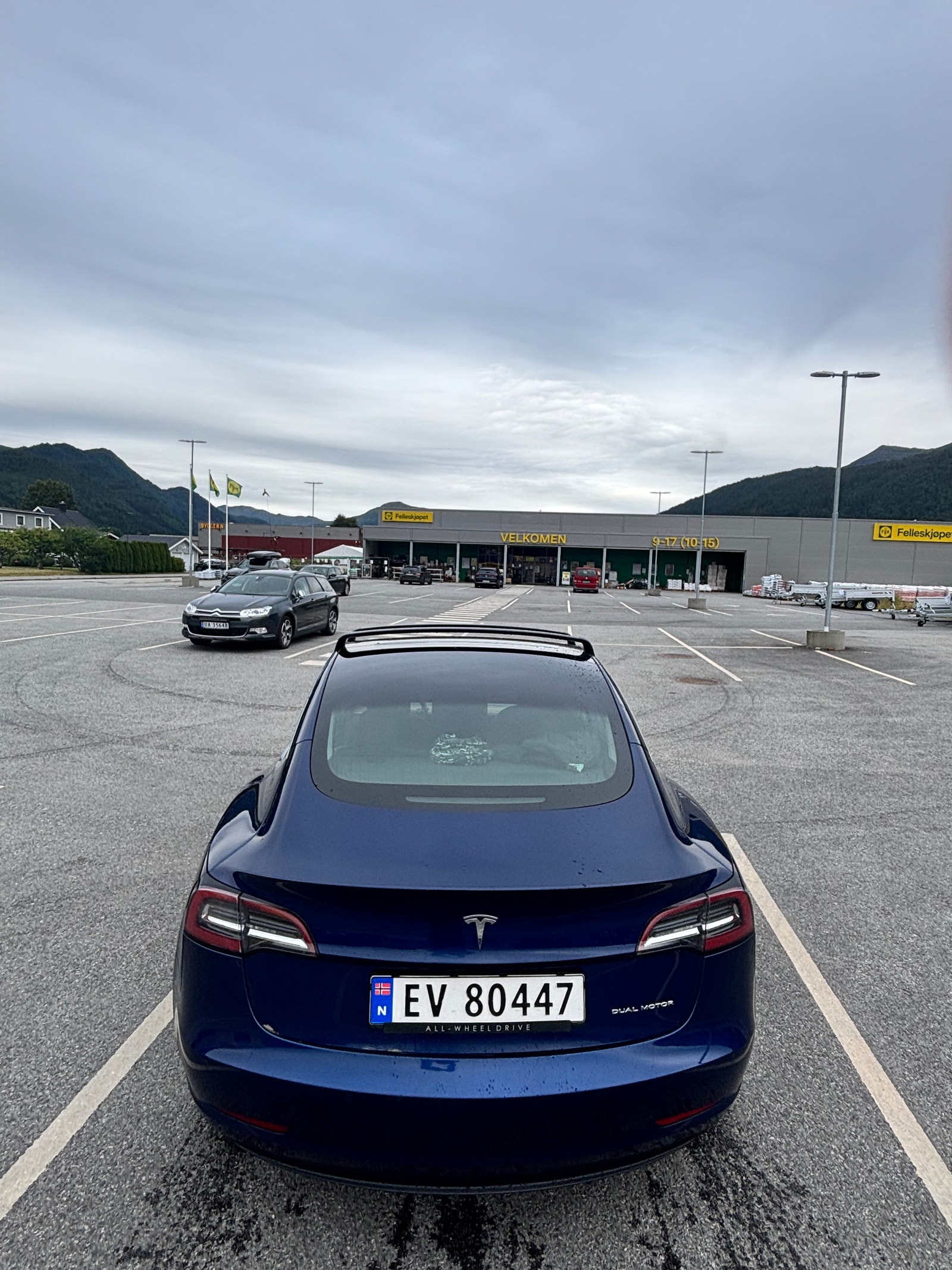 Tesla Model 3 Long Range AWD, 440hp, 2019