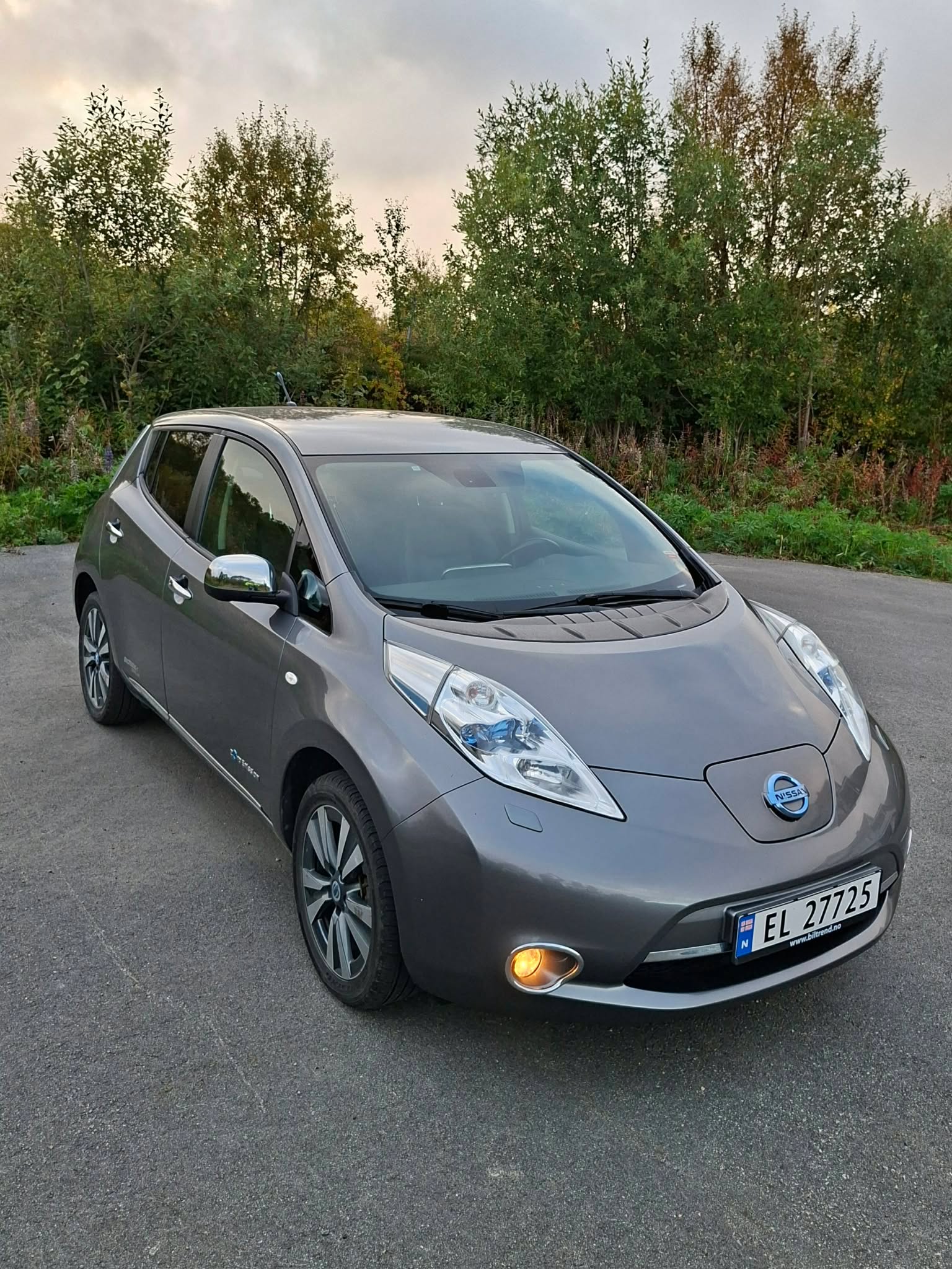 Nissan Leaf 24 kWh, 109ps, 2014