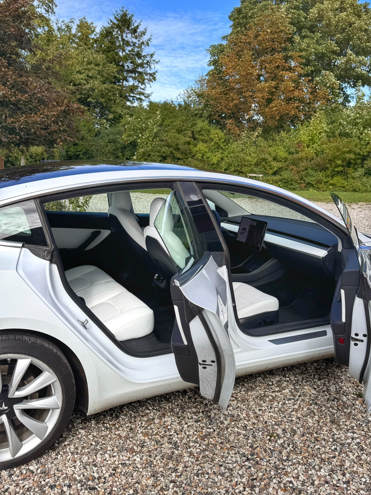 Tesla Model 3 Standard Range Plus, 325ps, 2020