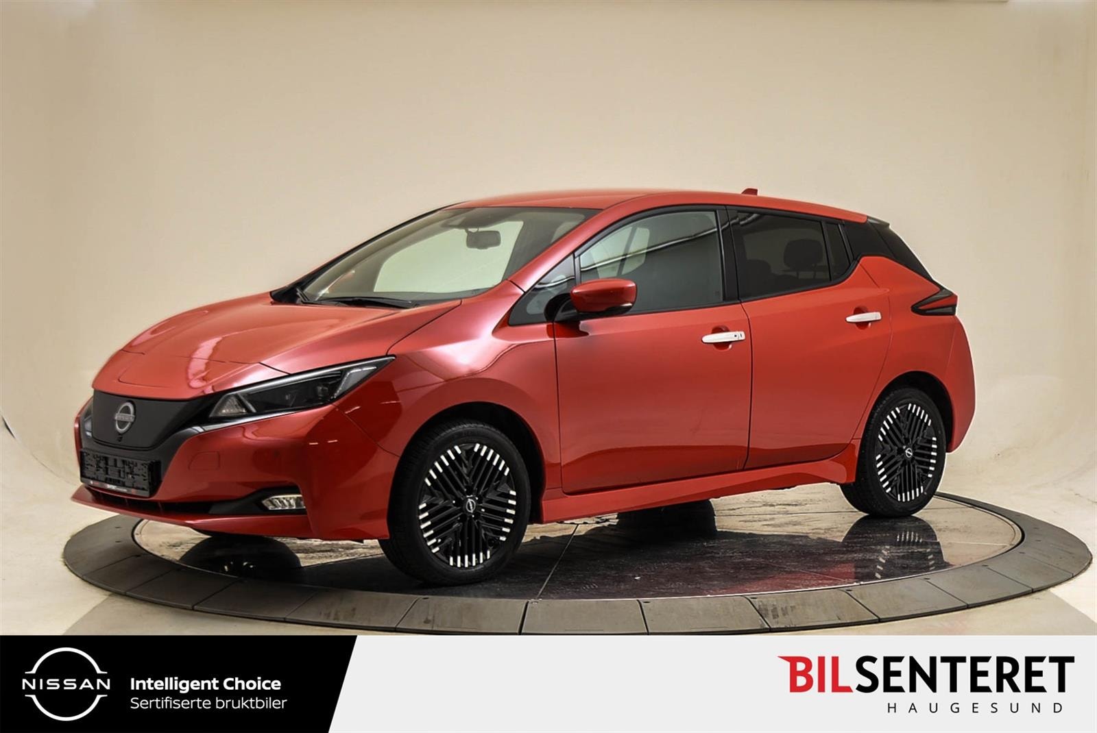 Nissan Leaf e+, 217hp, 2023