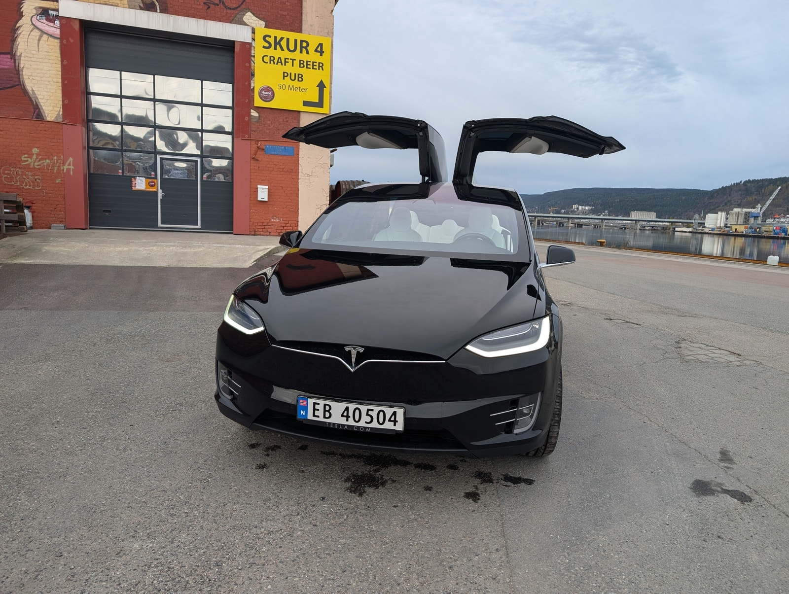 Tesla Model X Standard Range, 333hp, 2019