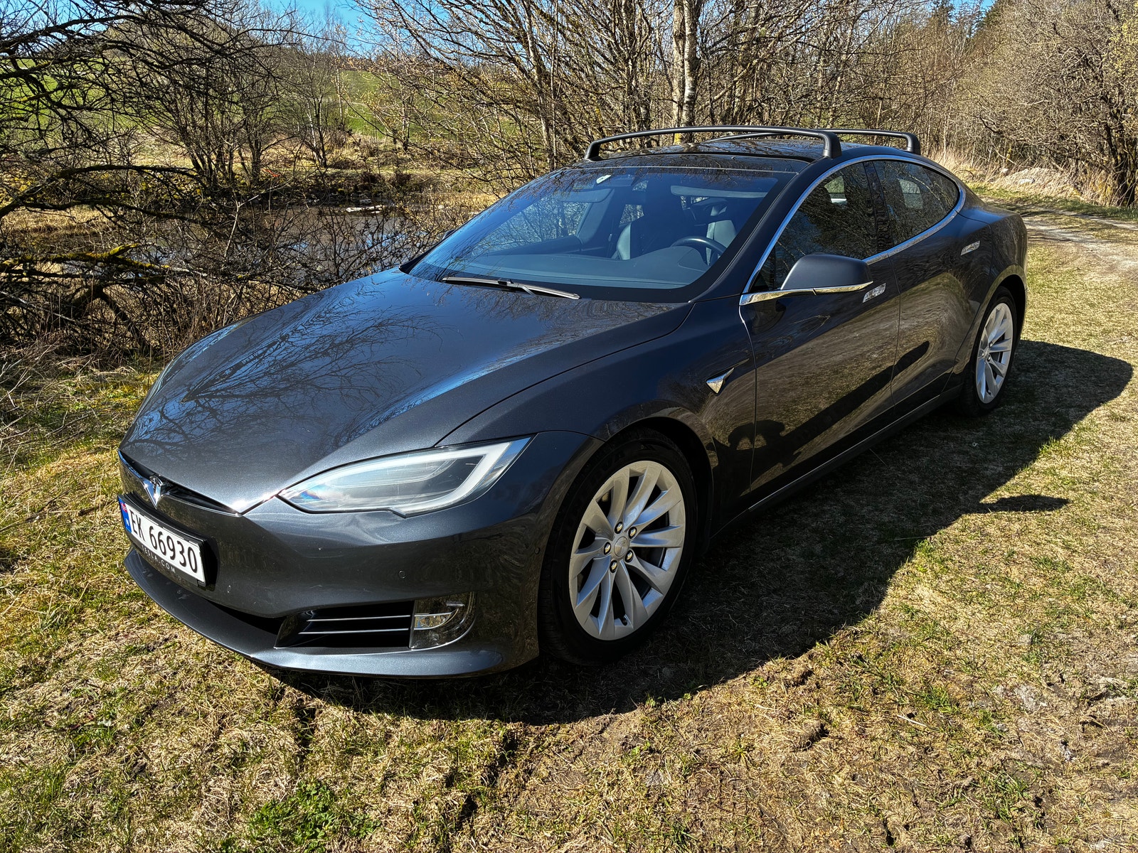 Tesla Model S 75, 320hp, 2017