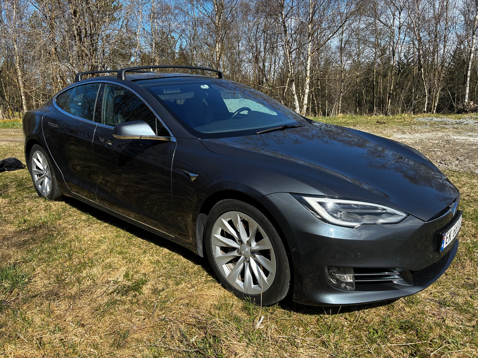 Tesla Model S 75, 320hp, 2017
