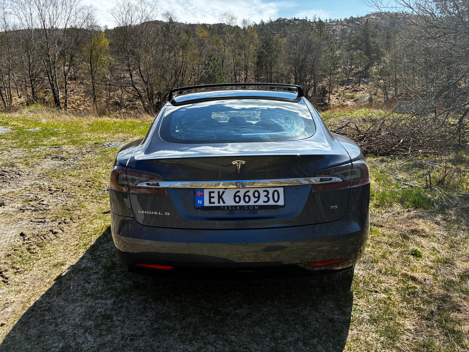 Tesla Model S 75, 320hp, 2017