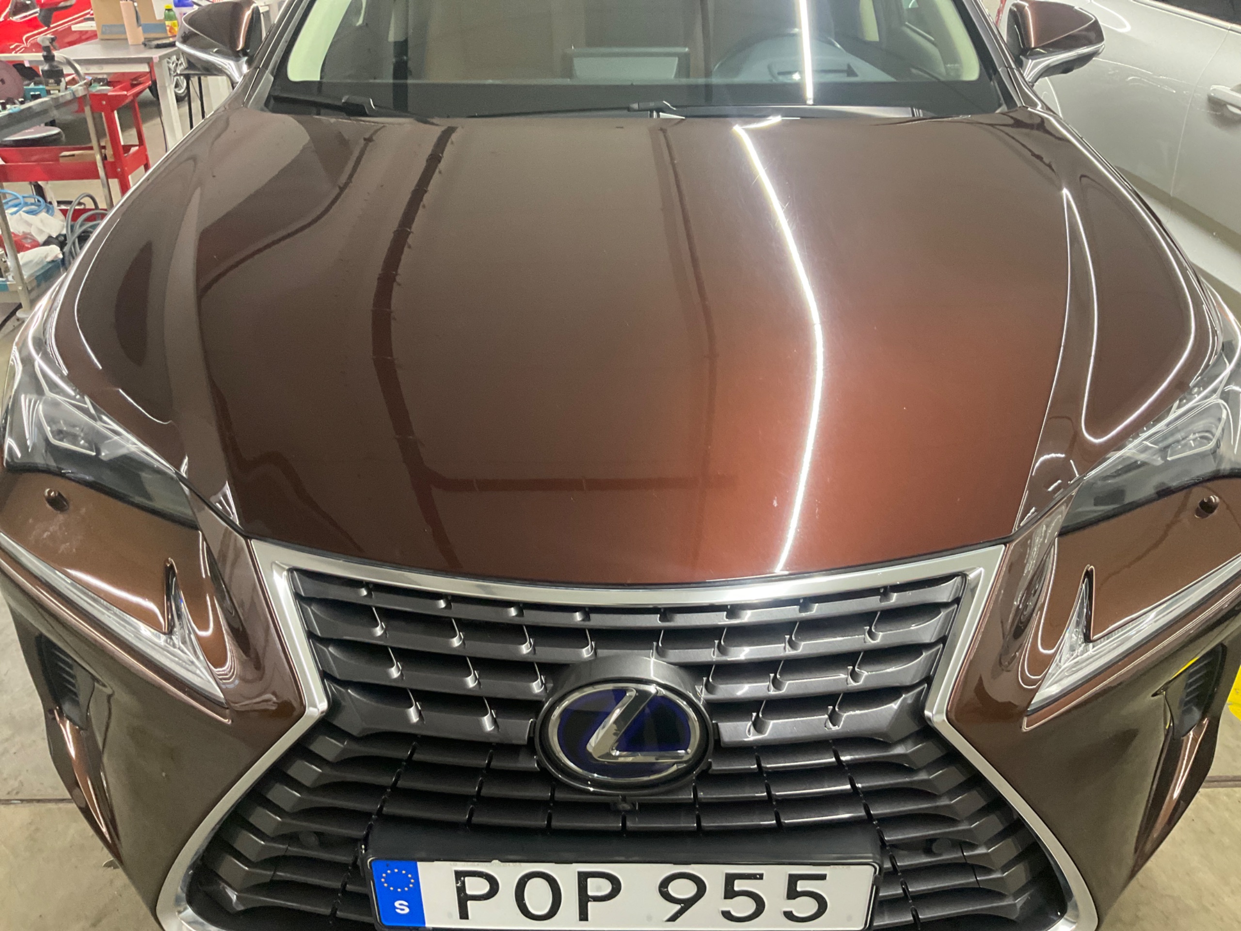 Lexus NX 300h AWD 2.5 AWD E-CVT, 197hp, 2018