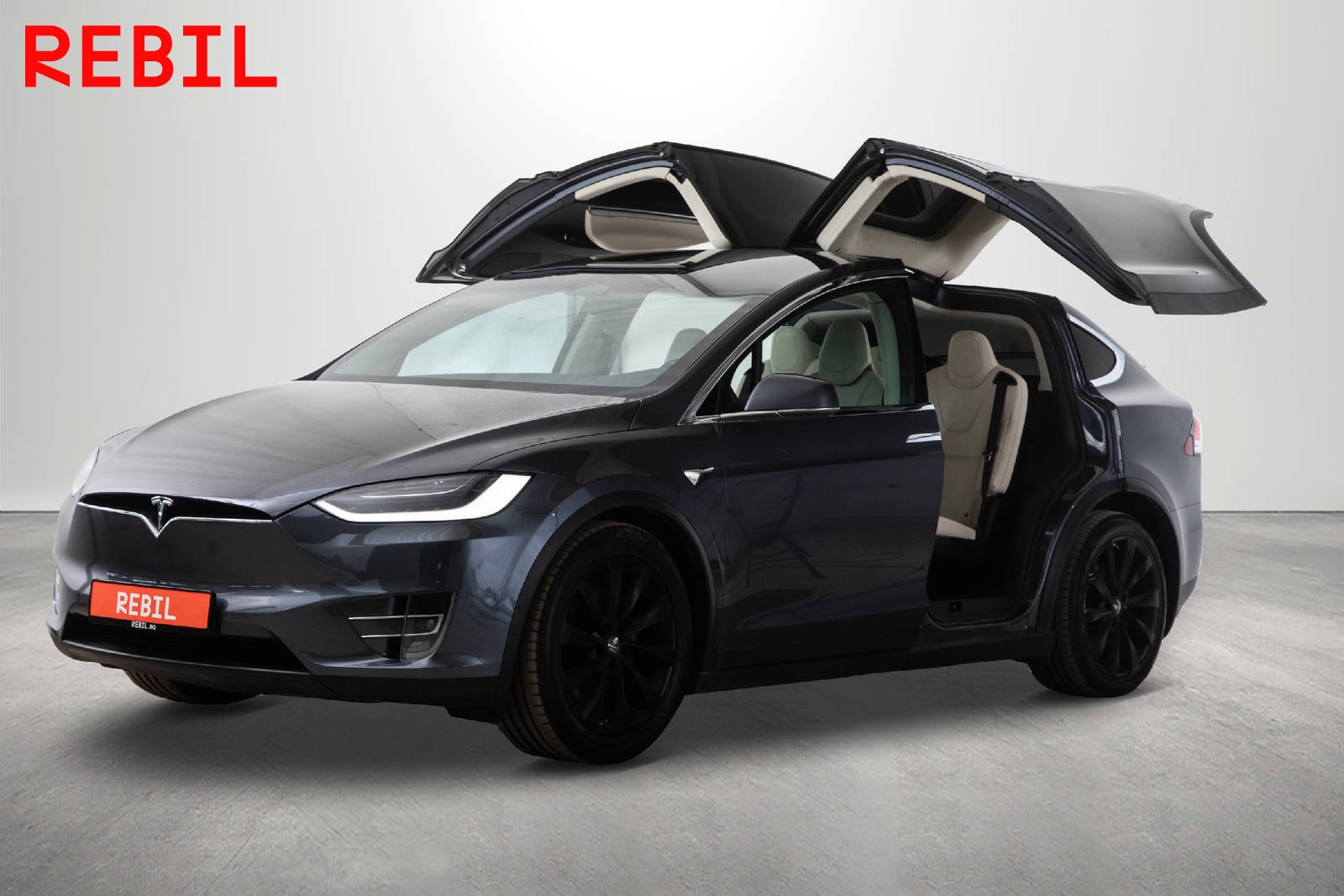 Tesla Model X 100D, 423ps, 2018