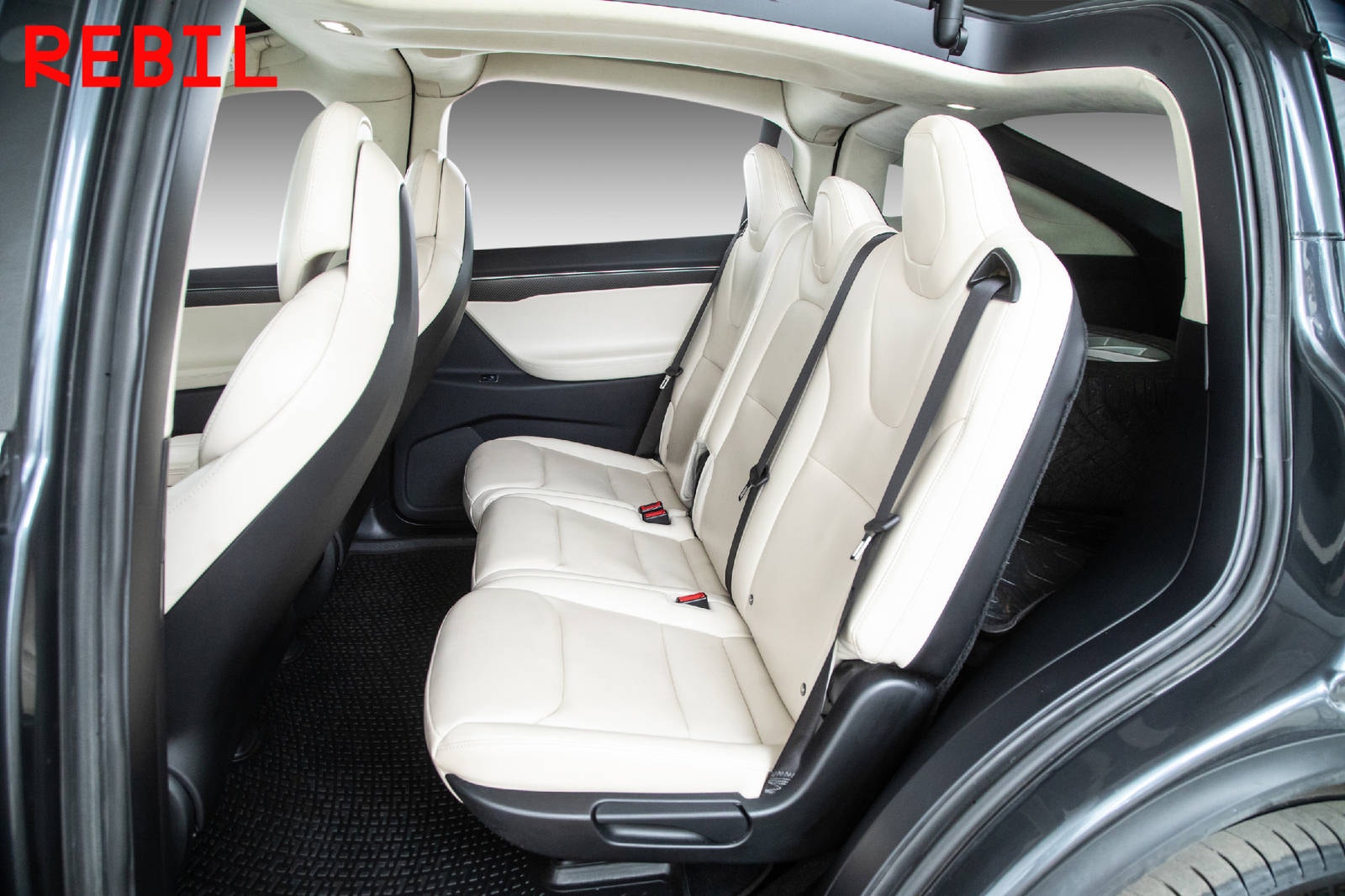 Tesla Model X 100D, 423ps, 2018