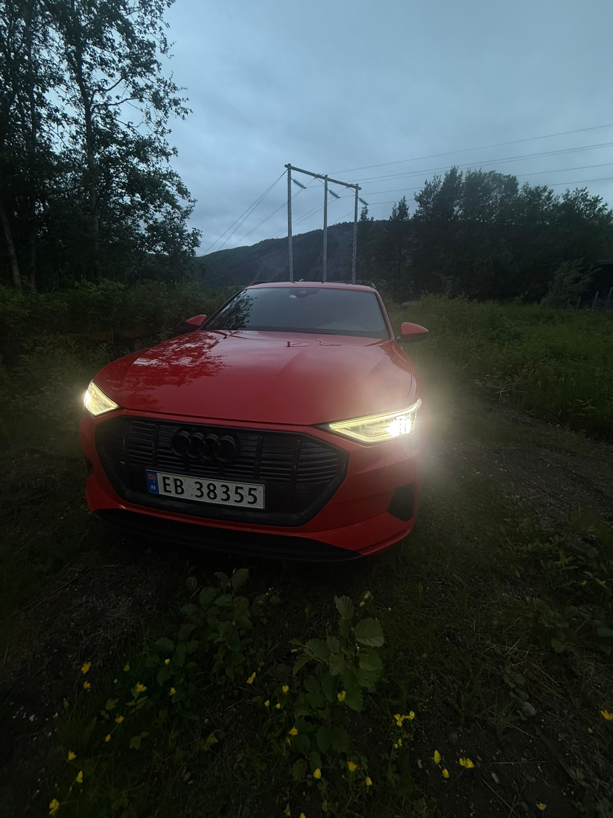 Audi e-tron 50 quattro, 313ps, 2020