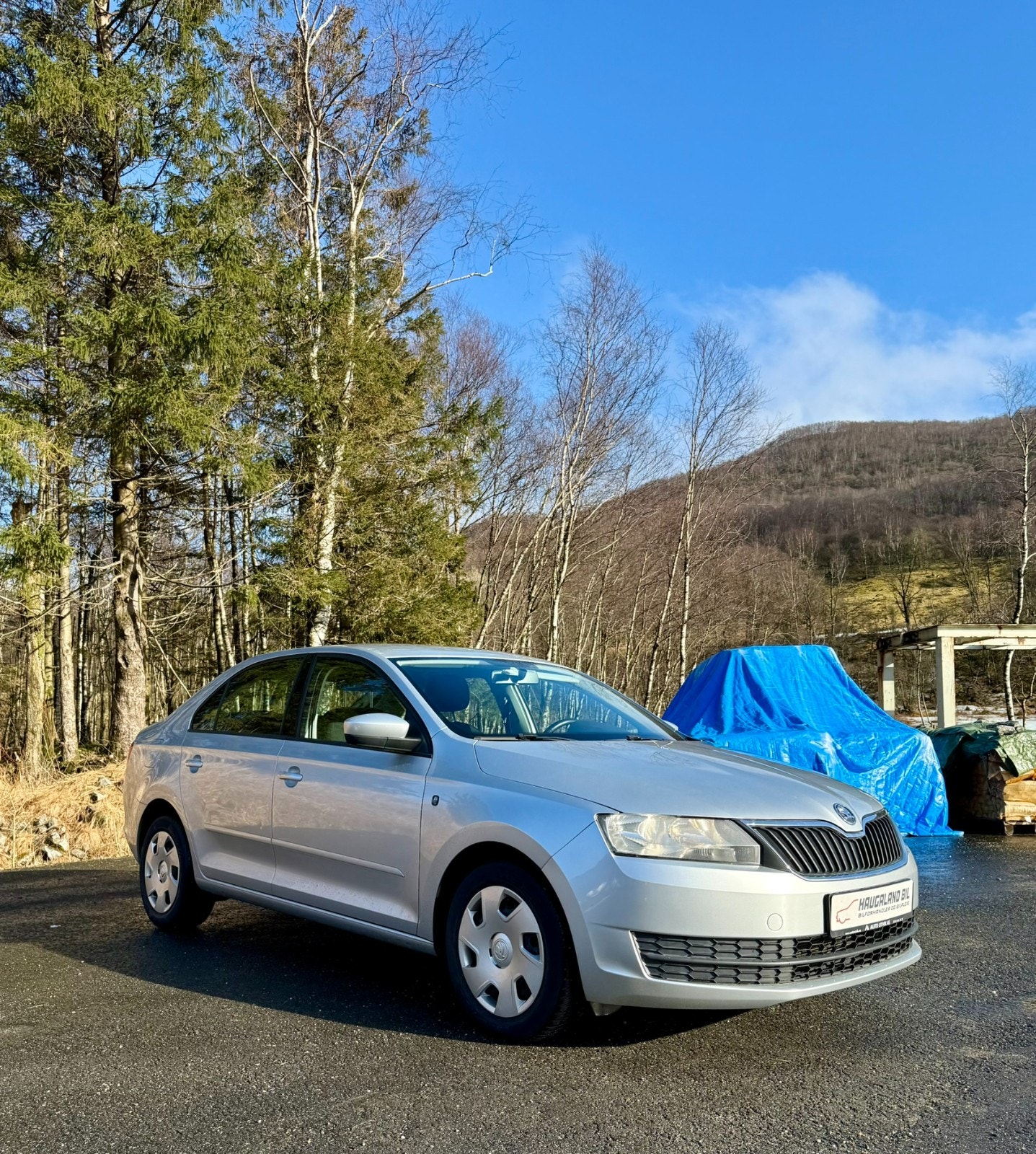 Škoda Rapid 1.4 TSI DSG Sequential, 7-trins, 122ps, 2013