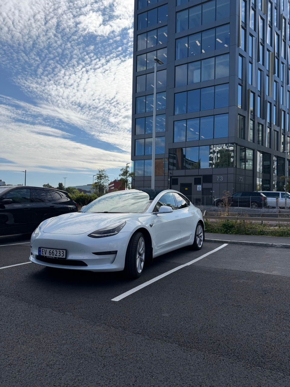 Tesla Model 3 Long Range AWD, 440hp, 2019