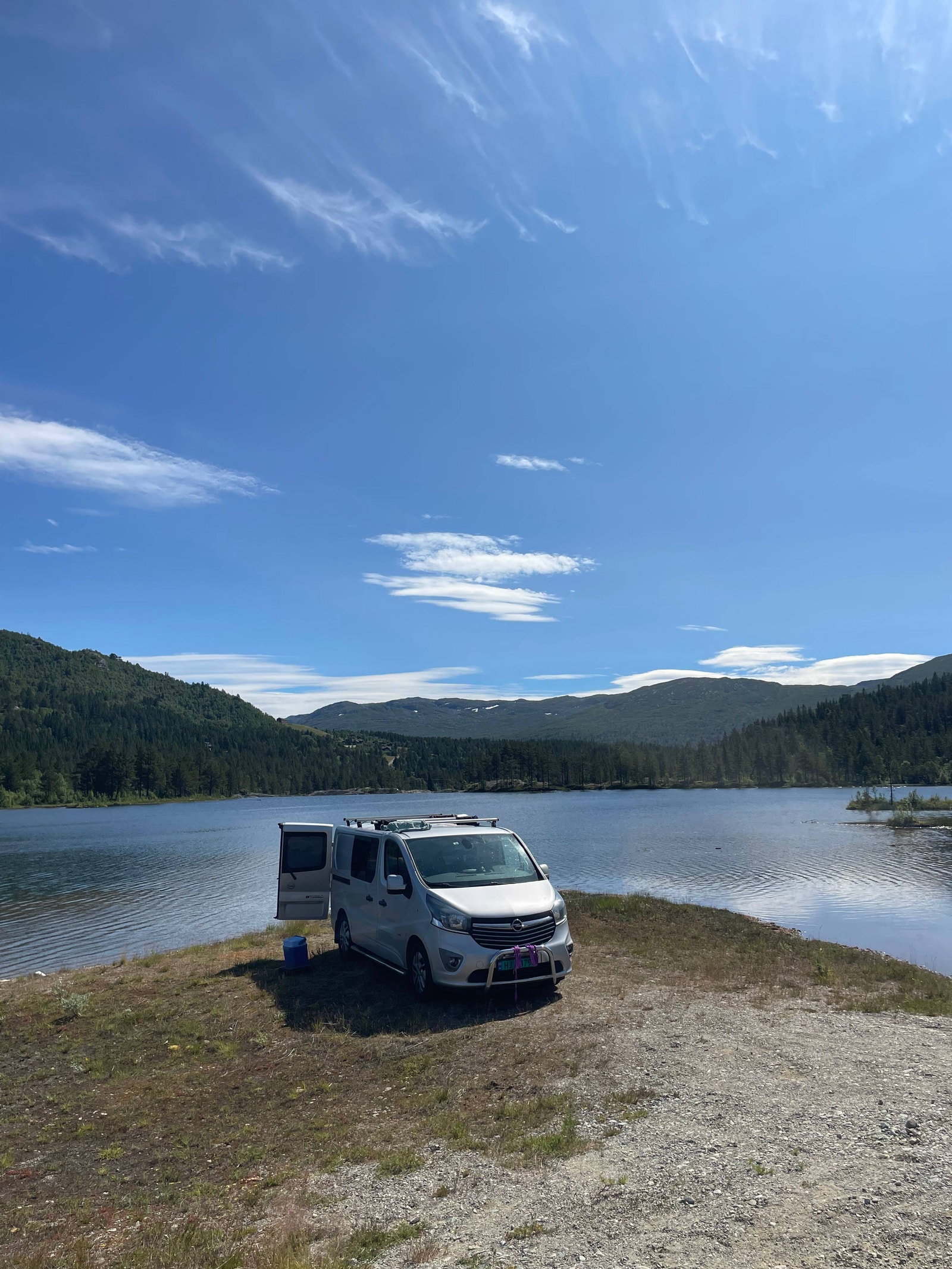 Opel Vivaro Panel Van 2.9t 1.6 CDTI BIturbo Manual, 6-trins, 120ps, 2015