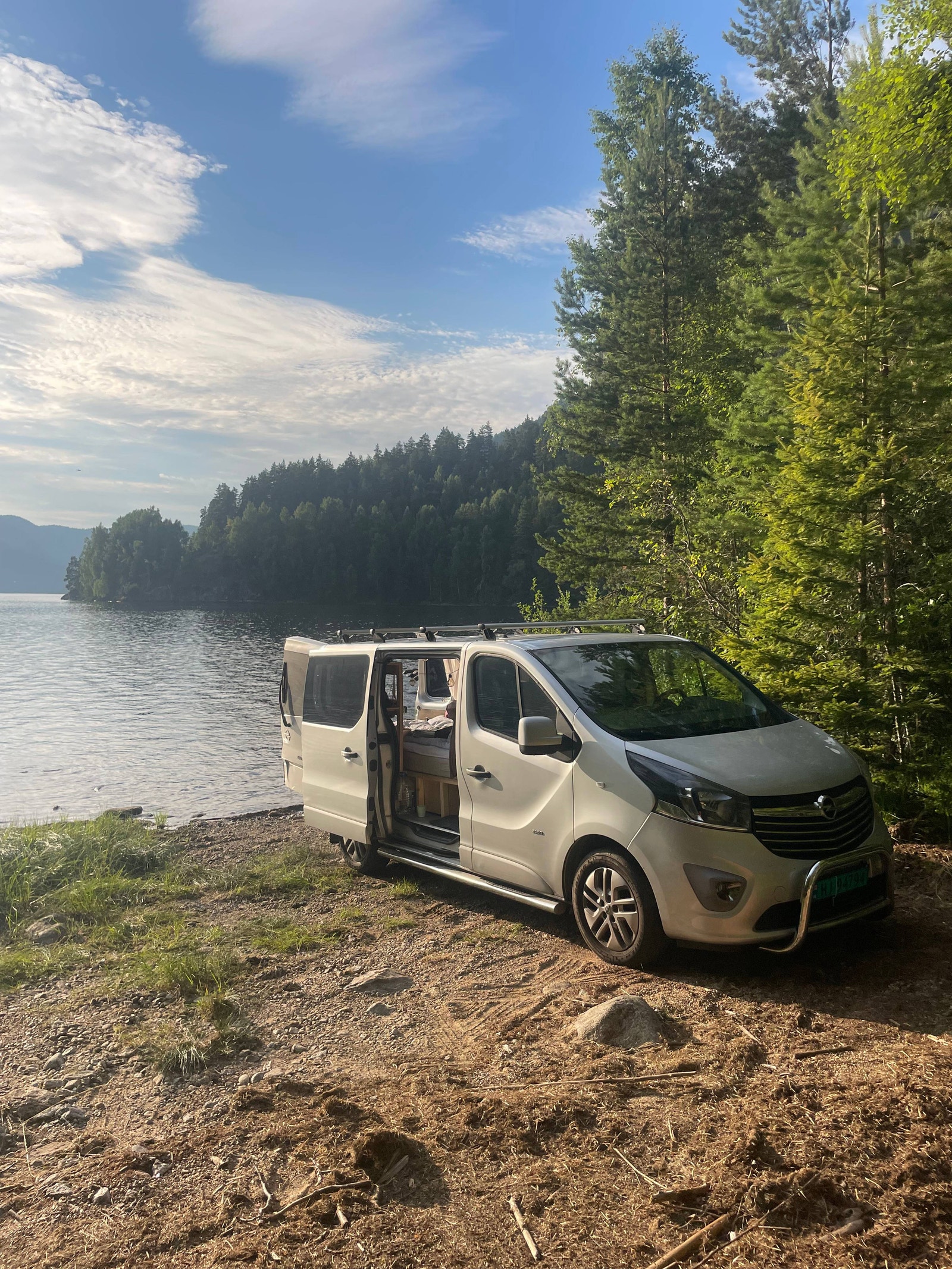 Opel Vivaro Panel Van 2.9t 1.6 CDTI BIturbo Manual, 6-trins, 120ps, 2015
