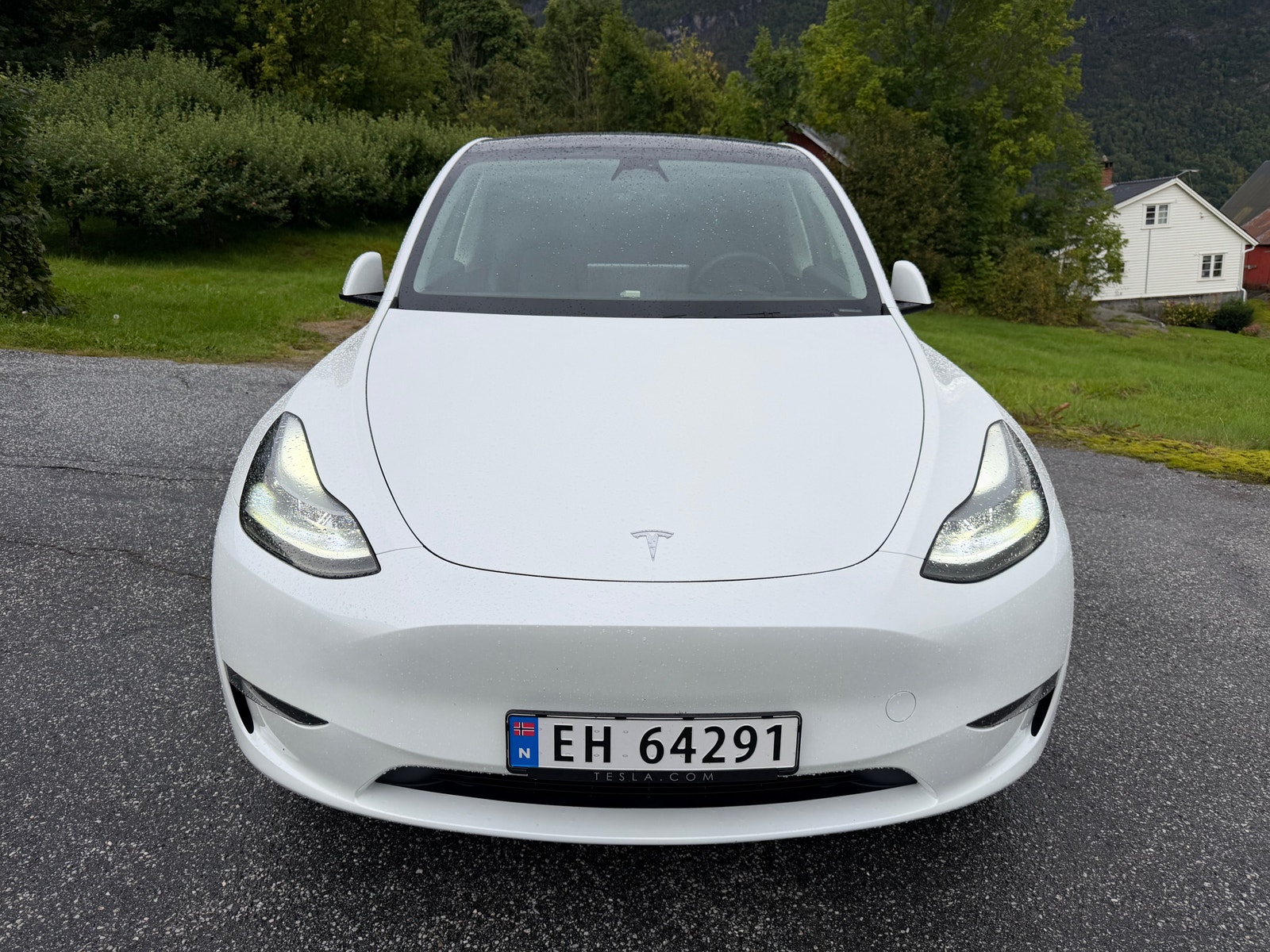 Tesla Model Y Long Range AWD, 514hp, 2024