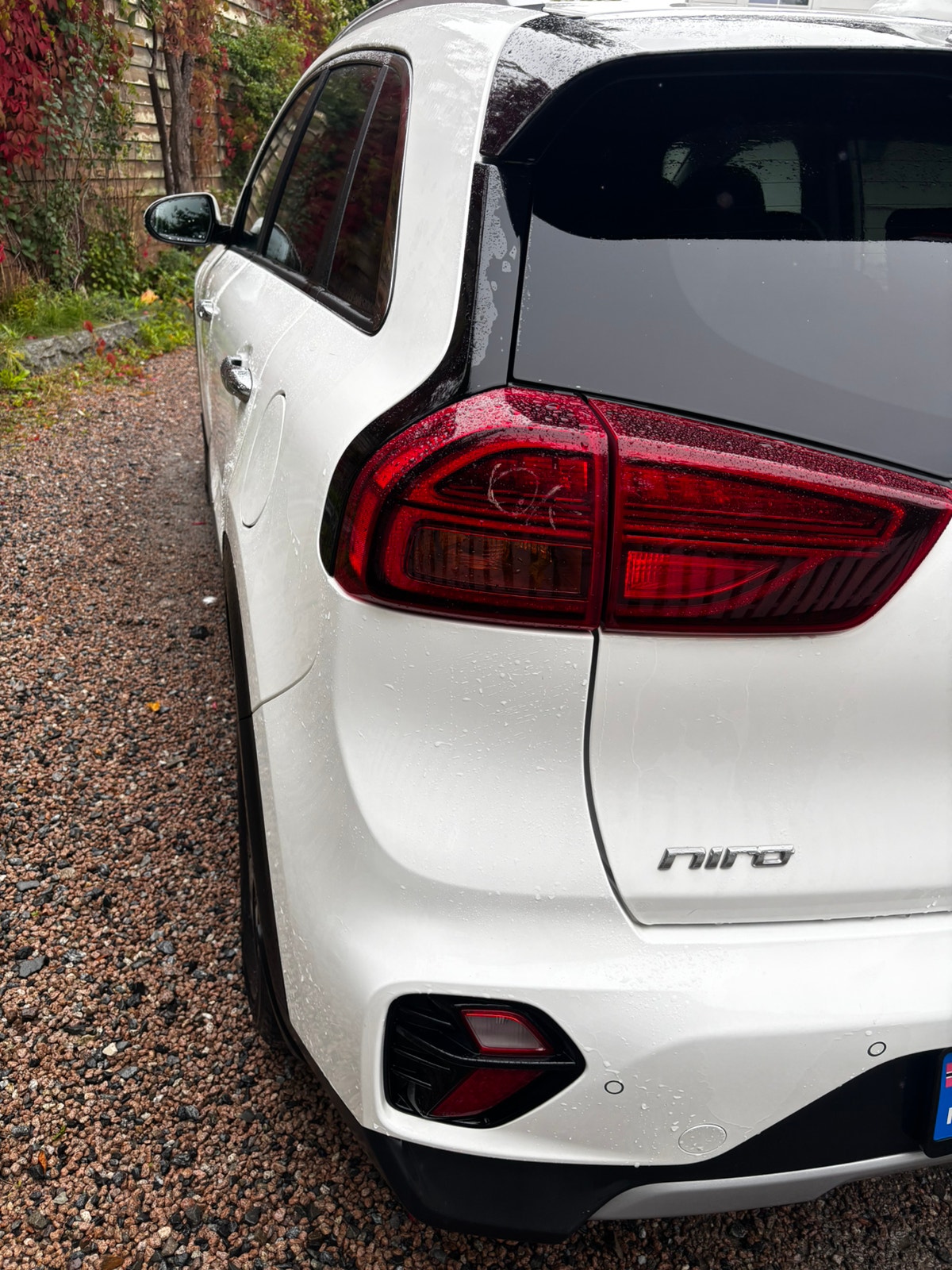 Kia Niro P-HEV DCT, 141hp, 2022