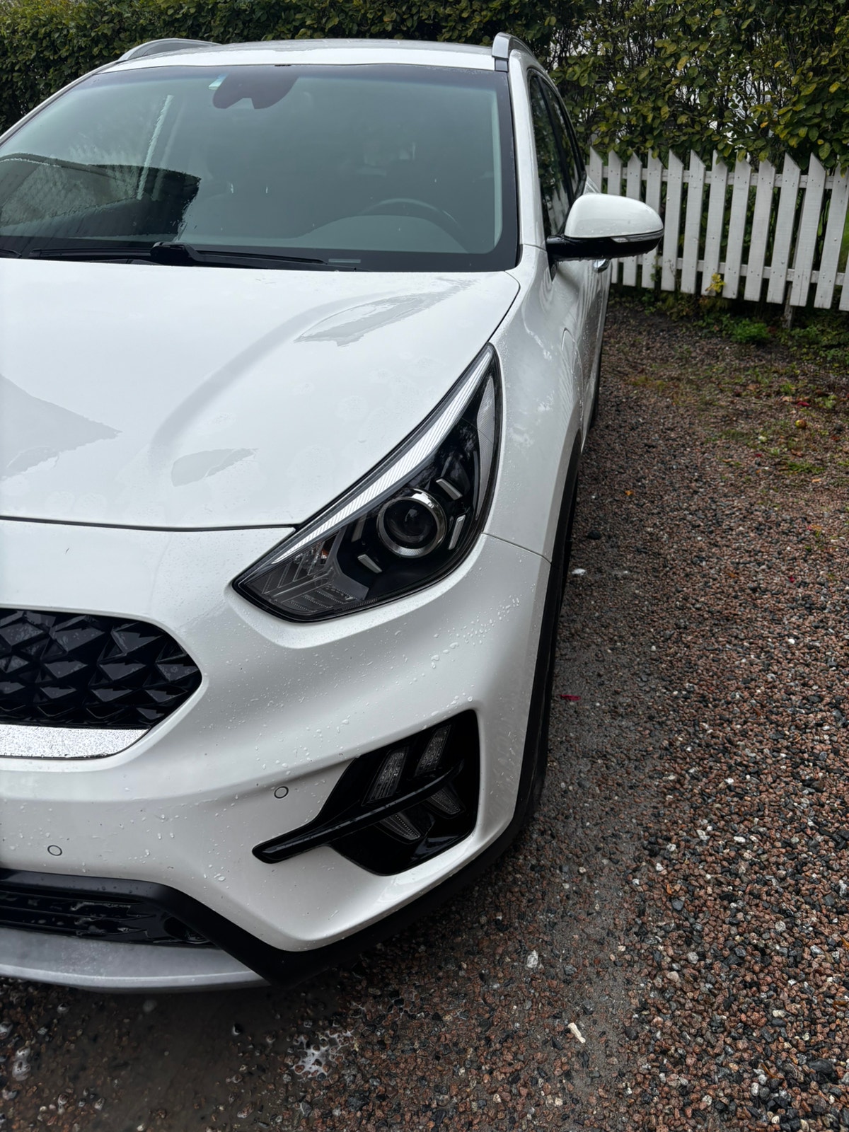 Kia Niro P-HEV DCT, 141hp, 2022