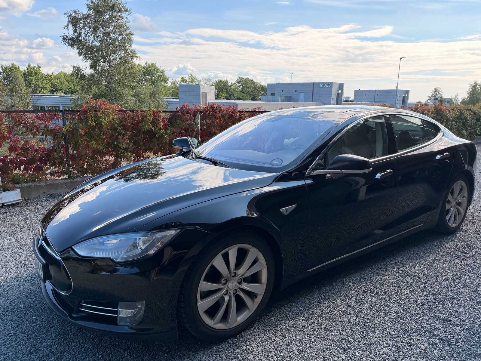 Tesla Model S 85, 378hp, 2014