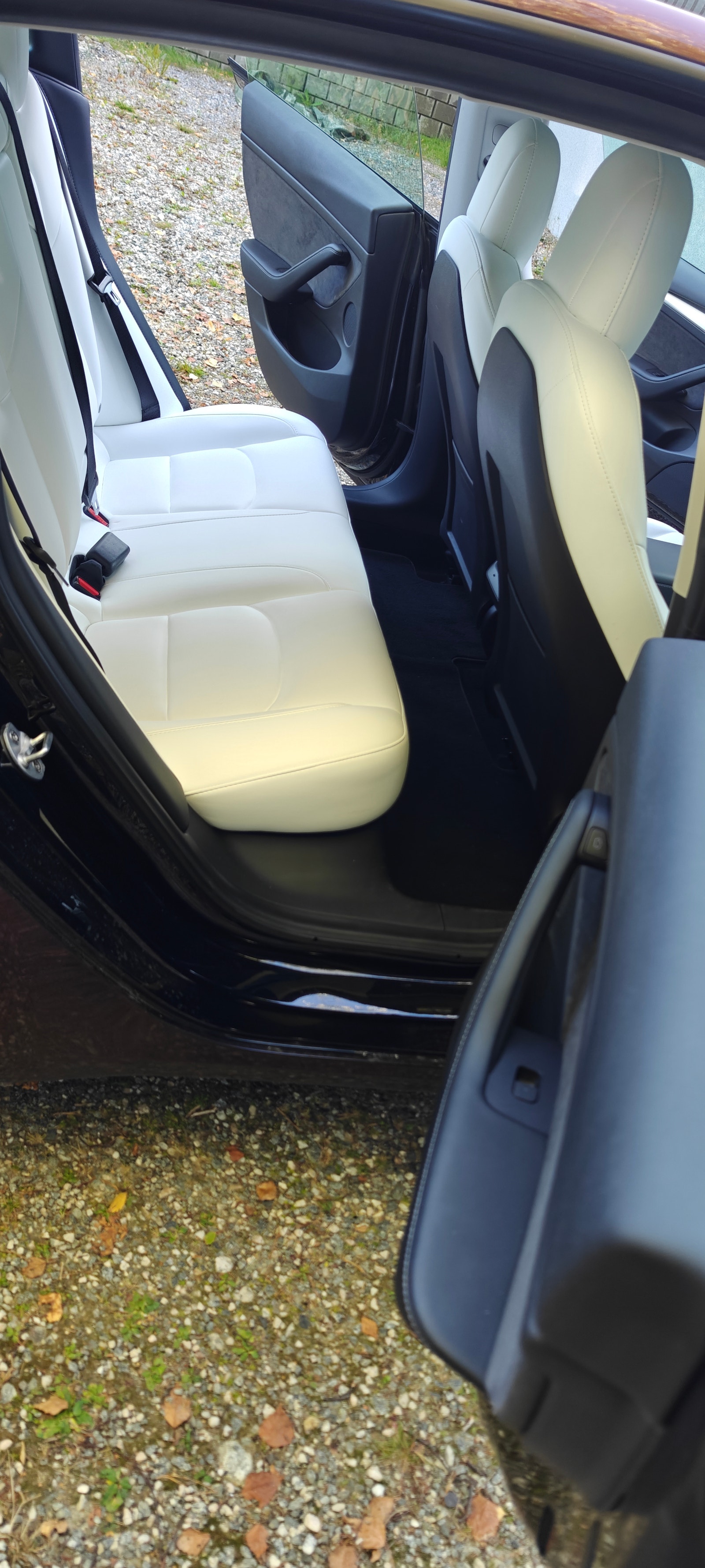 Tesla Model 3 Performance, 534ps, 2022