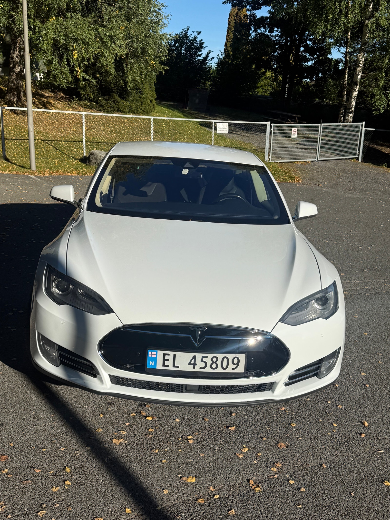 Tesla Model S 85D, 423ps, 2015