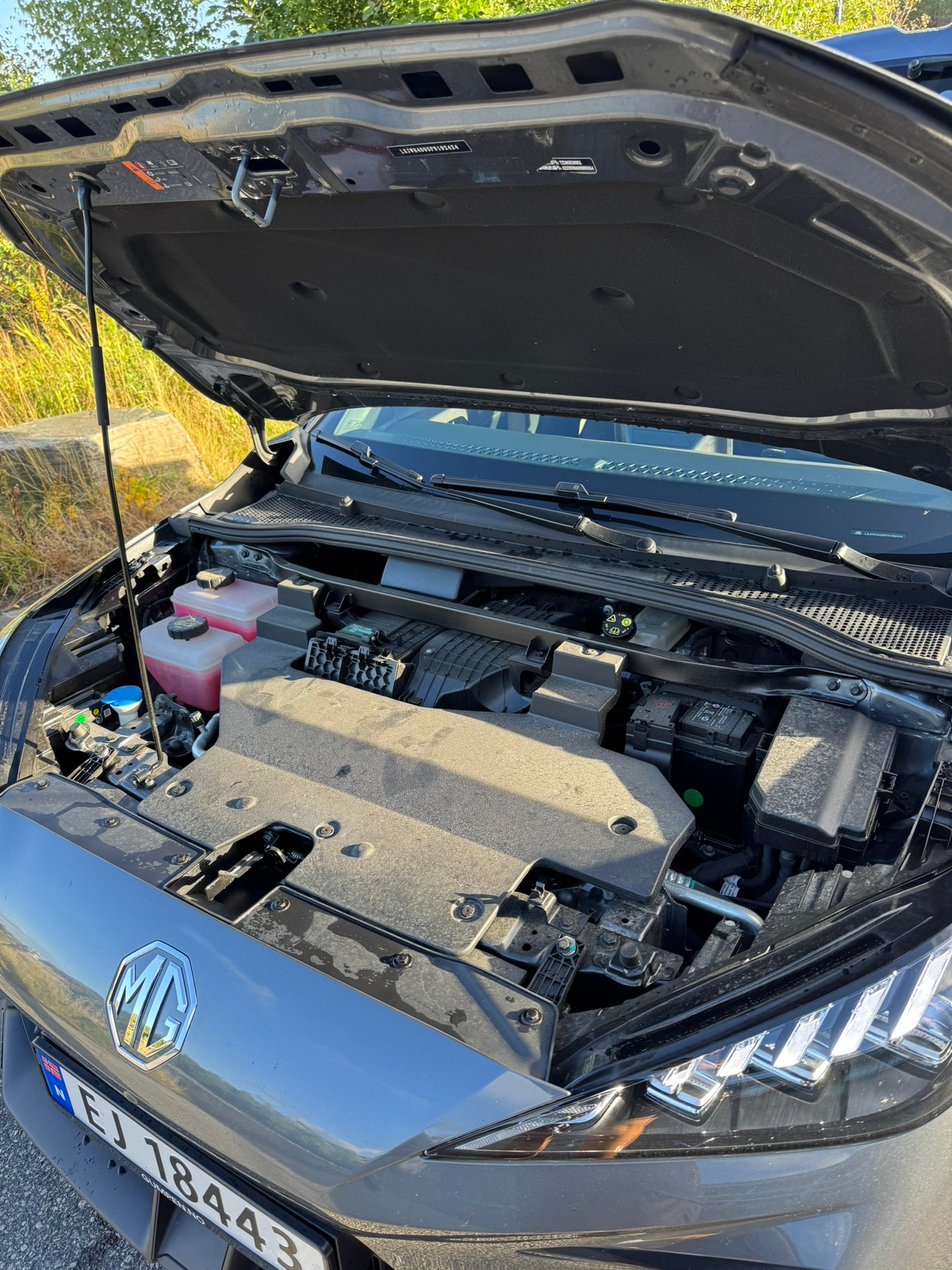 MG 4 Electric Long Range 64 kWh, 204hk, 2024