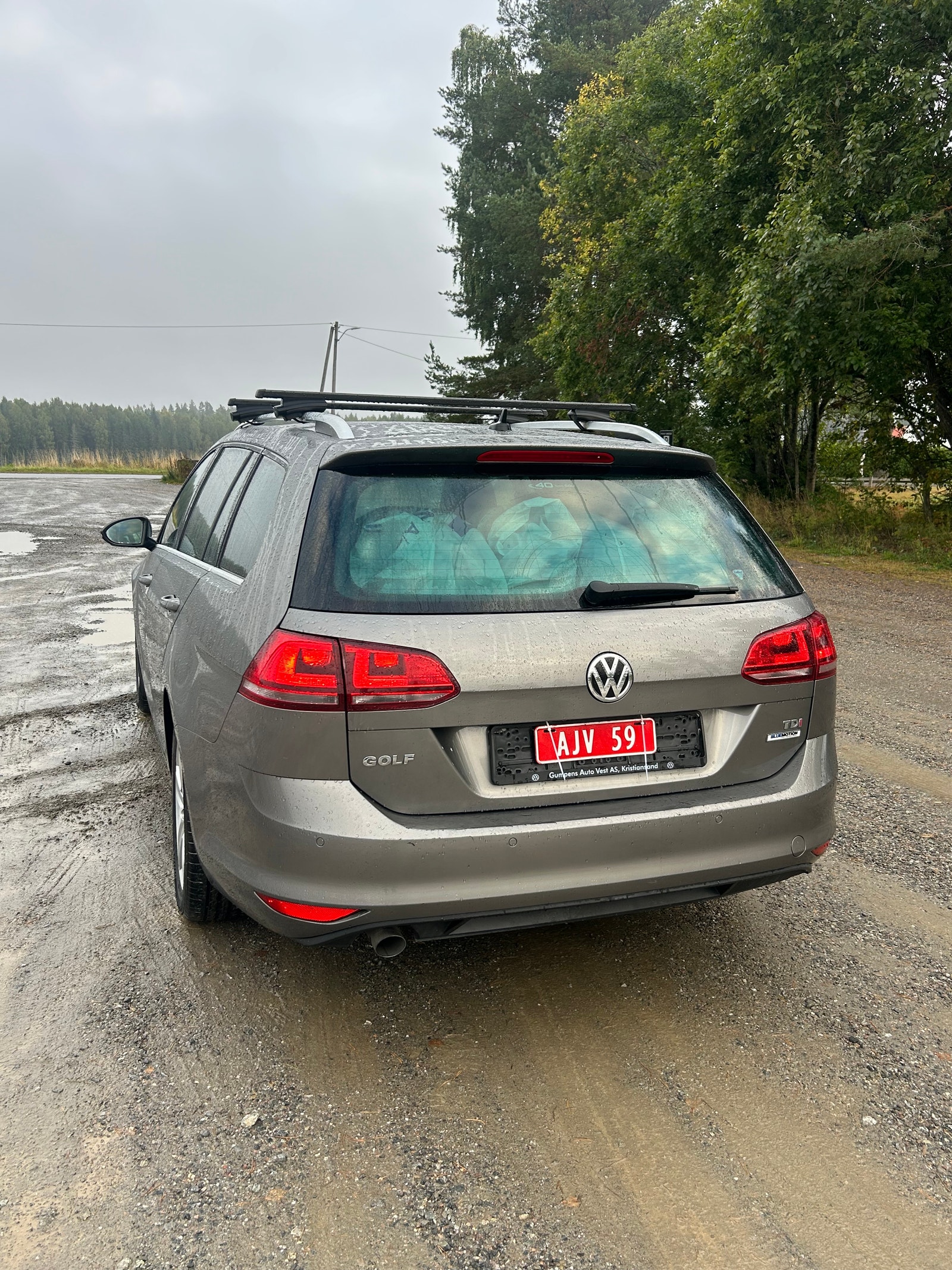 Volkswagen Golf Variant 1.6 TDI DPF BMT DSG Sequential, 105hp, 2015