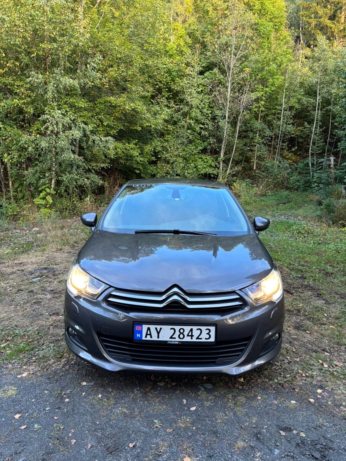 Citroën C4 1.2 PureTech Manual, 5-trins, 110ps, 2015