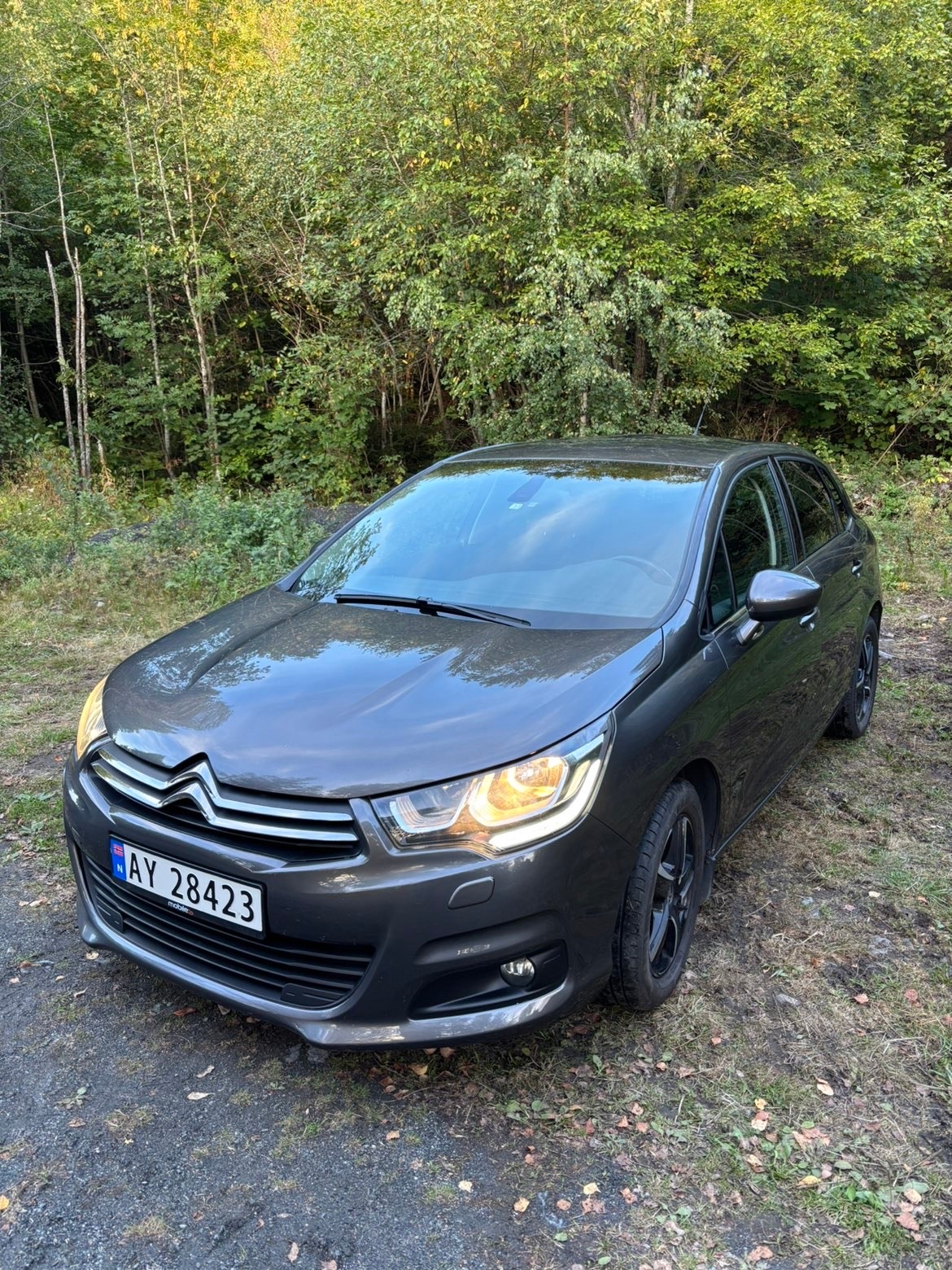 Citroën C4 1.2 PureTech Manual, 5-trins, 110ps, 2015