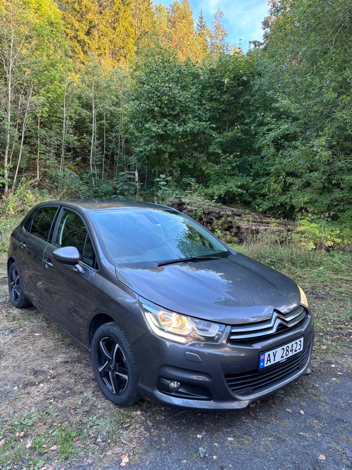 Citroën C4 1.2 PureTech Manual, 5-trins, 110ps, 2015