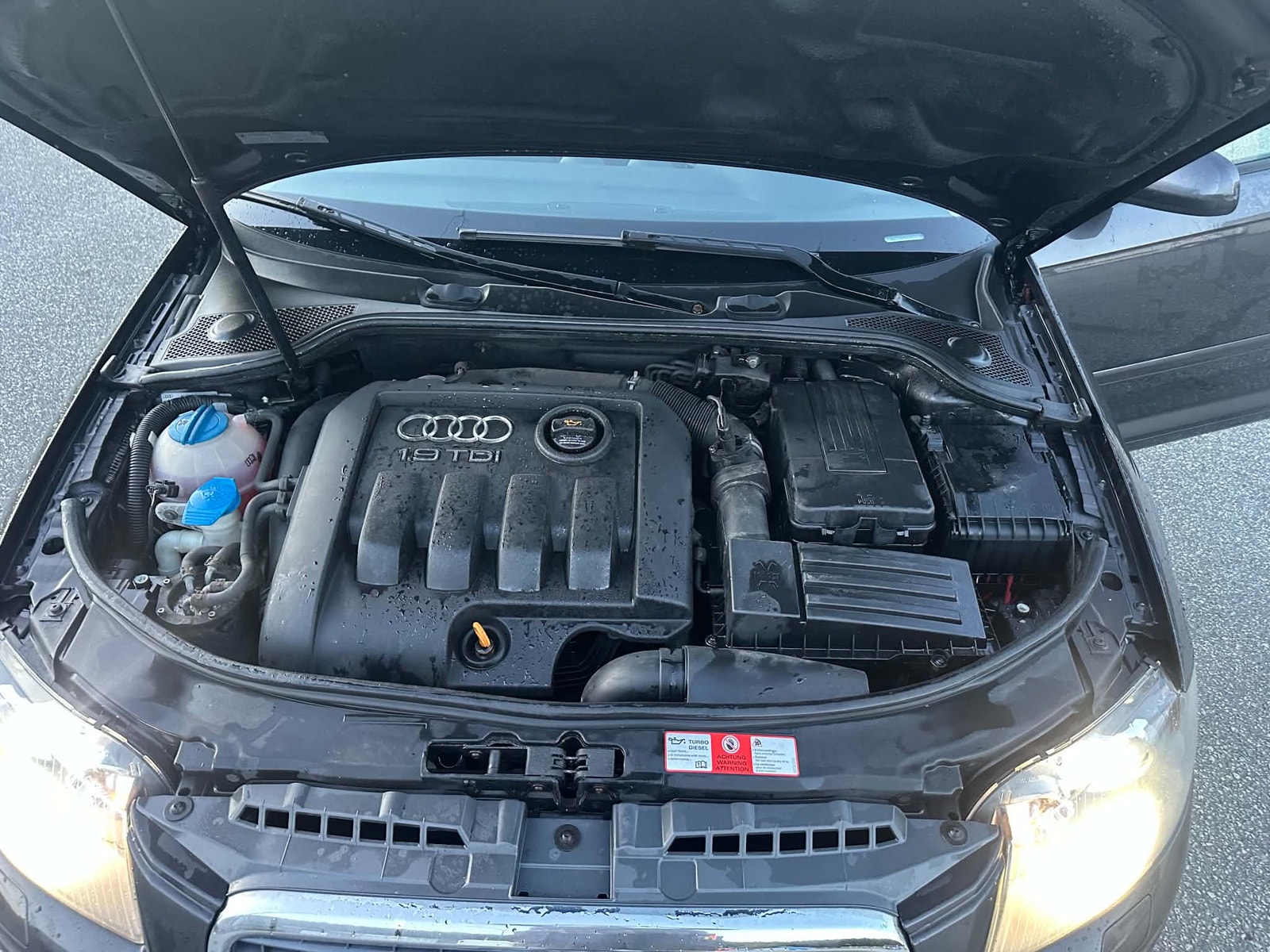 Audi A3 Sportback 1.9 TDI 8v Manual, 105hp, 2008
