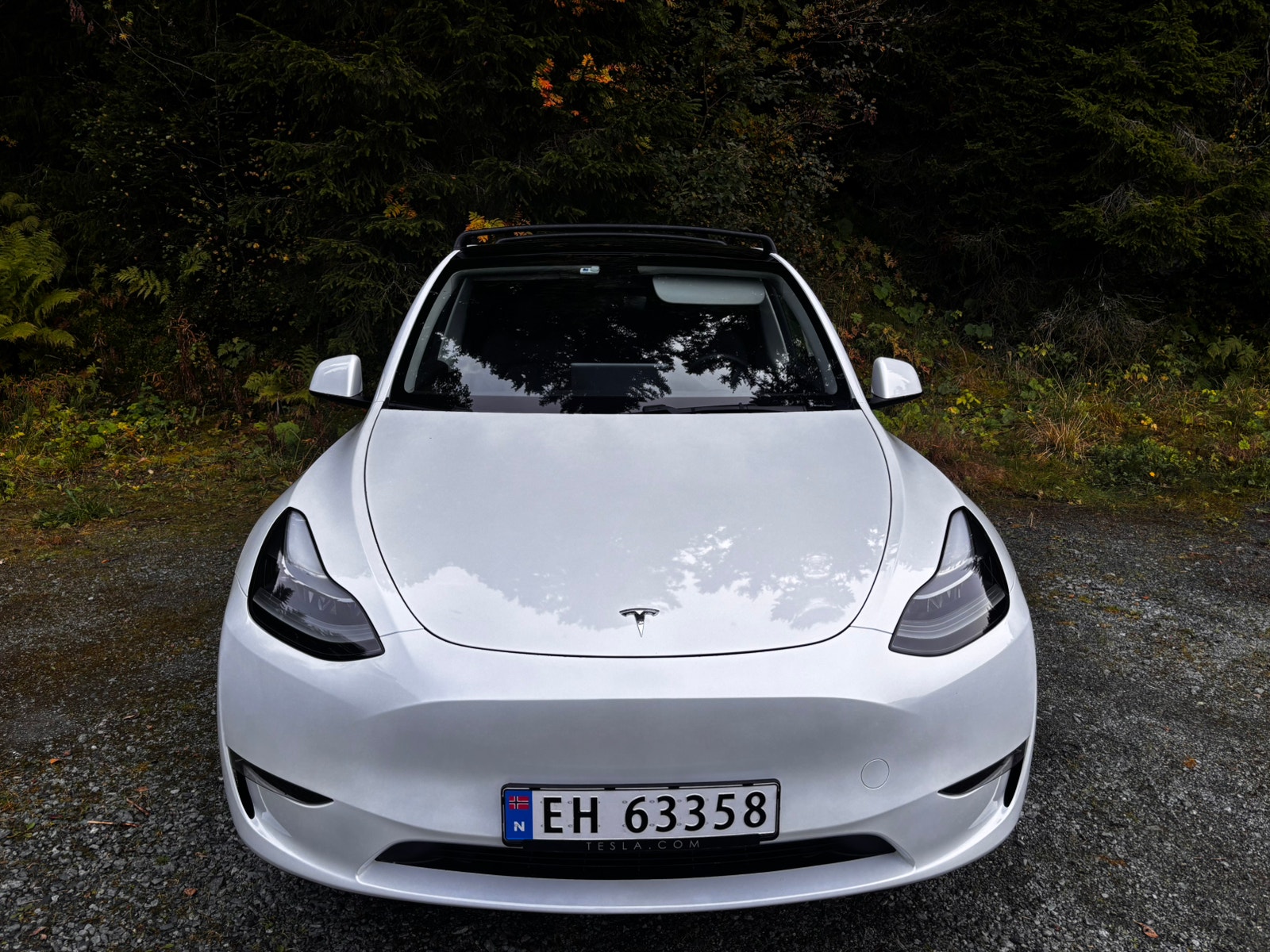 Tesla Model Y Long Range AWD, 514ps, 2024