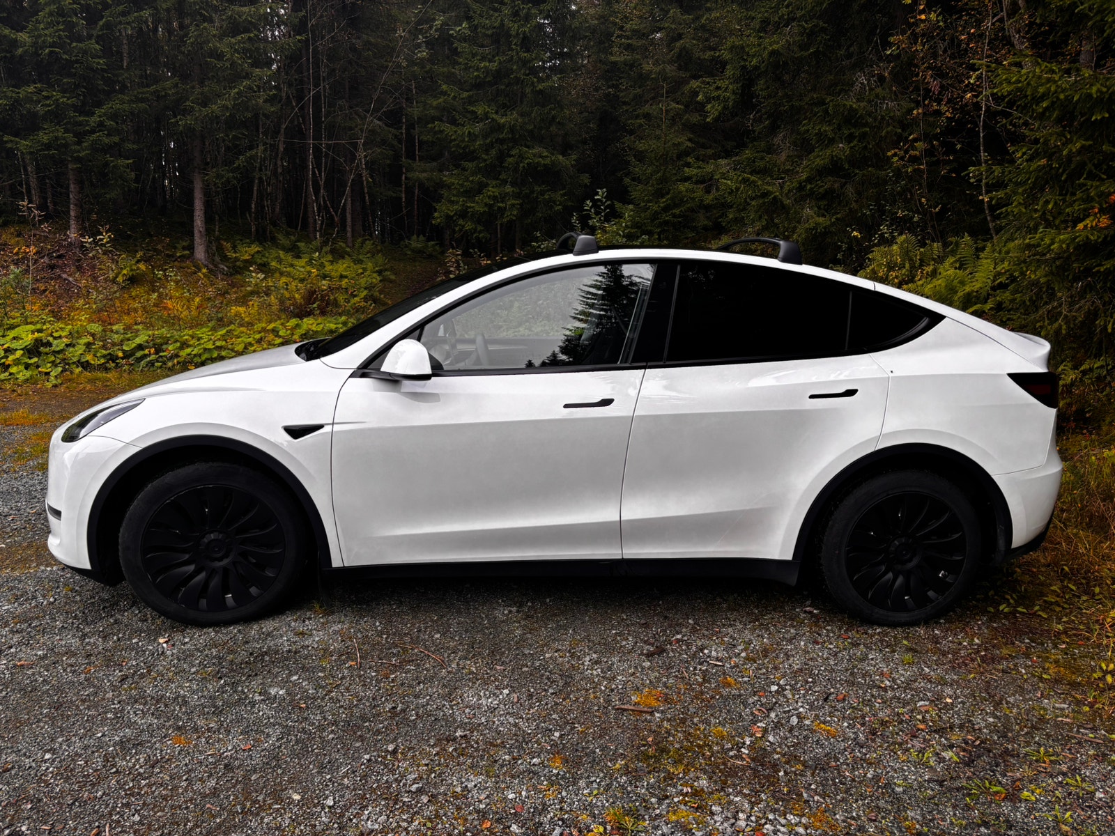 Tesla Model Y Long Range AWD, 514ps, 2024