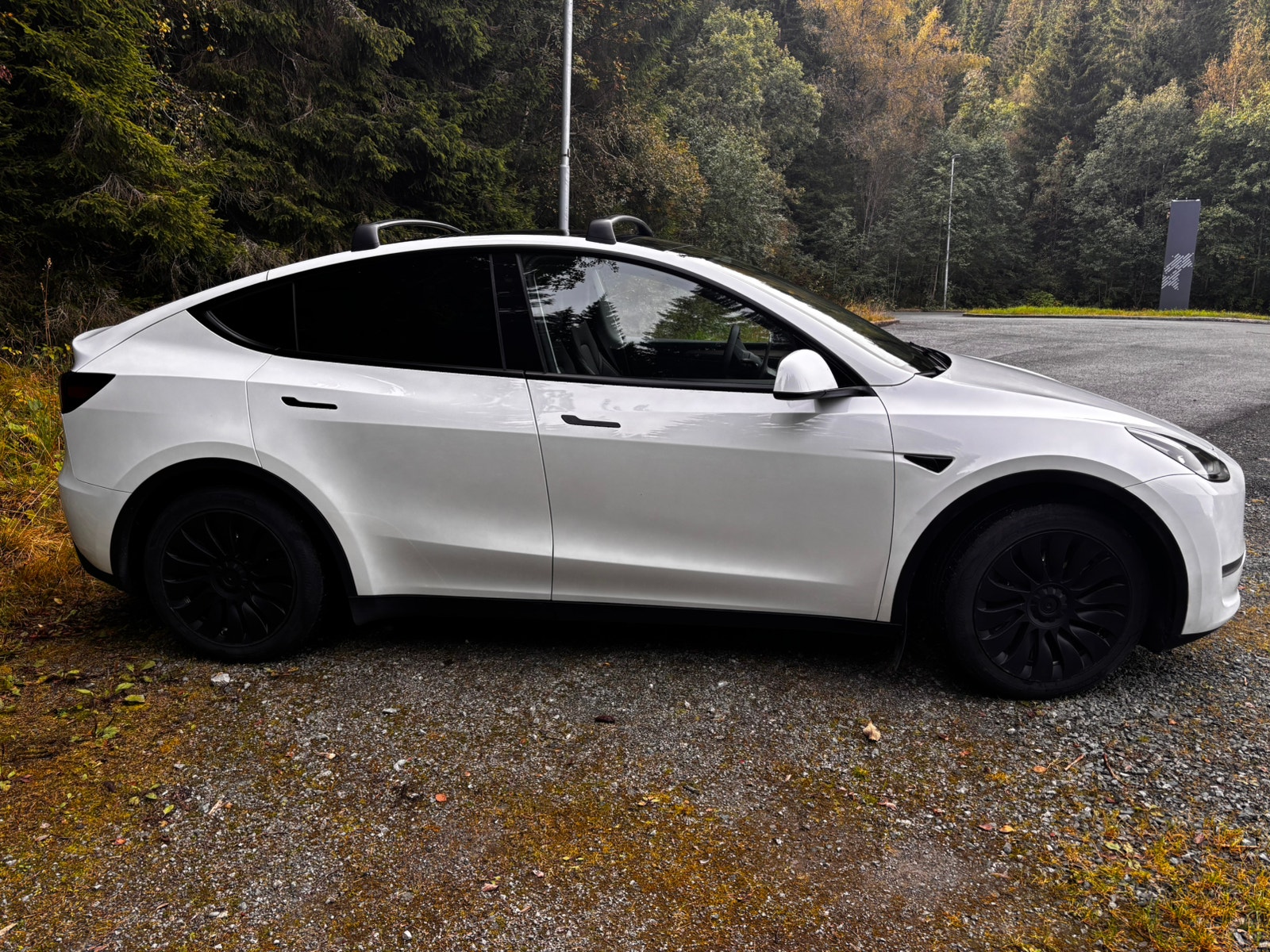 Tesla Model Y Long Range AWD, 514ps, 2024