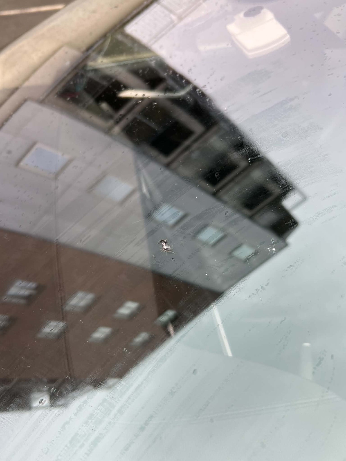 Tesla Model S 85D, 423ps, 2015