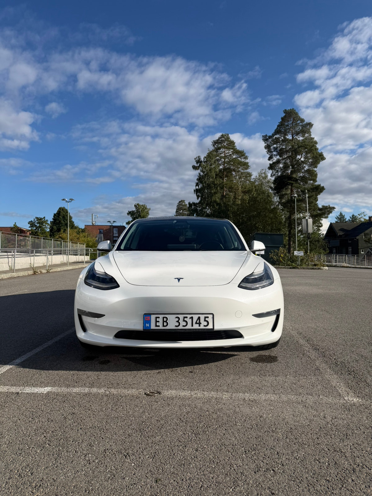 Tesla Model 3 Performance, 513hk, 2020