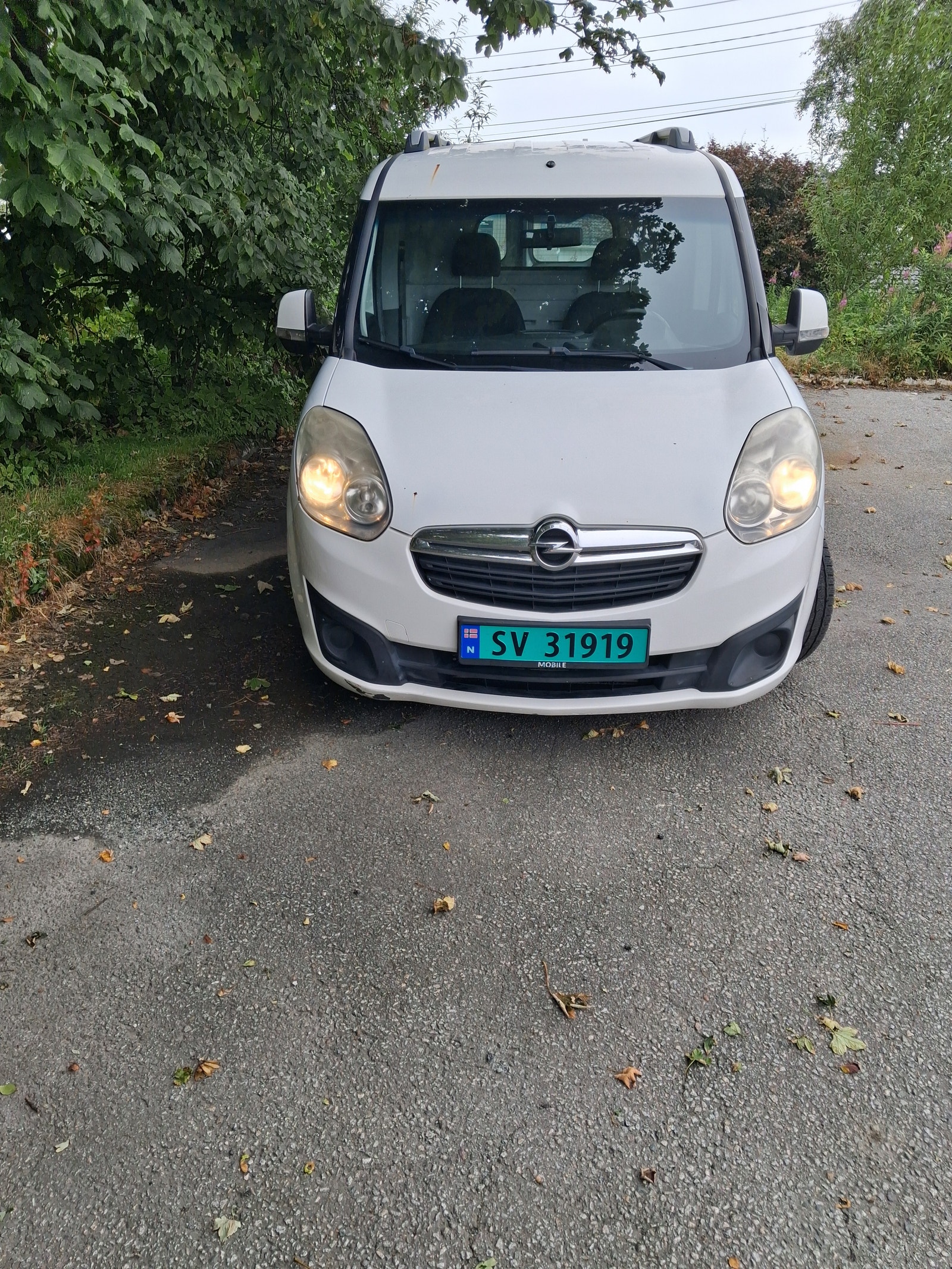 Opel Combo Van 2.4t 1.6 CDTI ecoFLEX S/S Manuell, 105hk, 2012