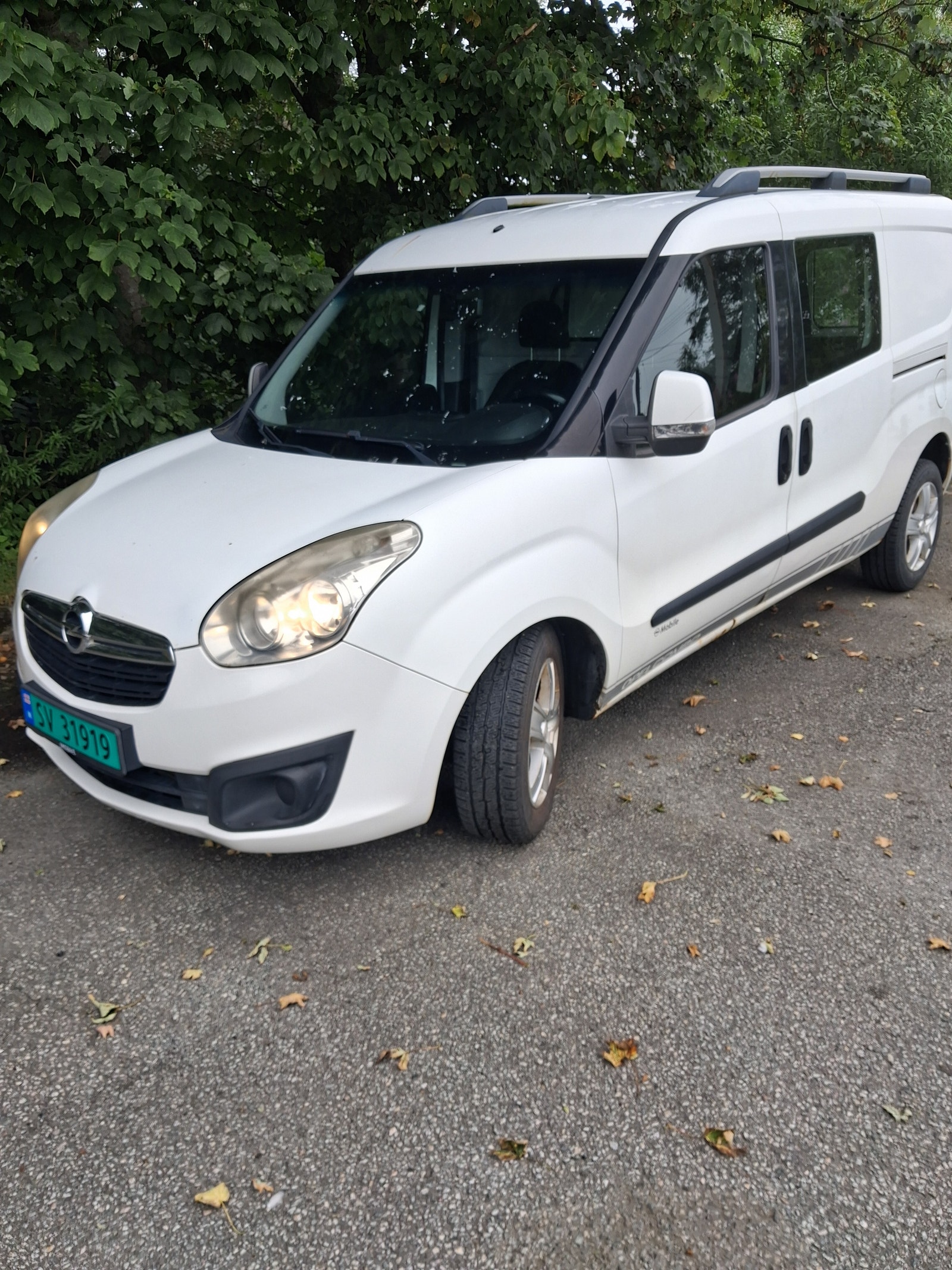 Opel Combo Van 2.4t 1.6 CDTI ecoFLEX S/S Manuell, 105hk, 2012