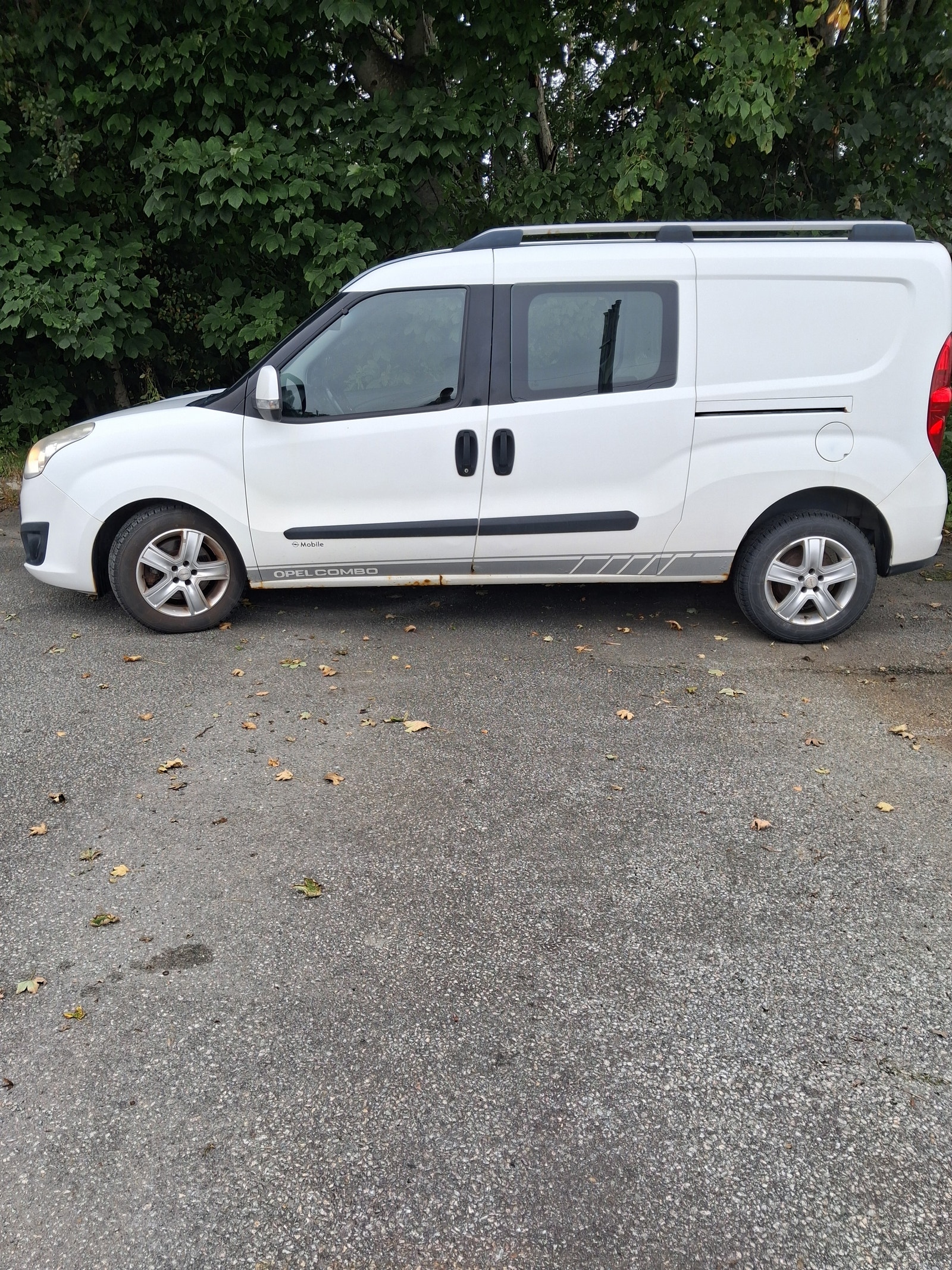 Opel Combo Van 2.4t 1.6 CDTI ecoFLEX S/S Manuell, 105hk, 2012