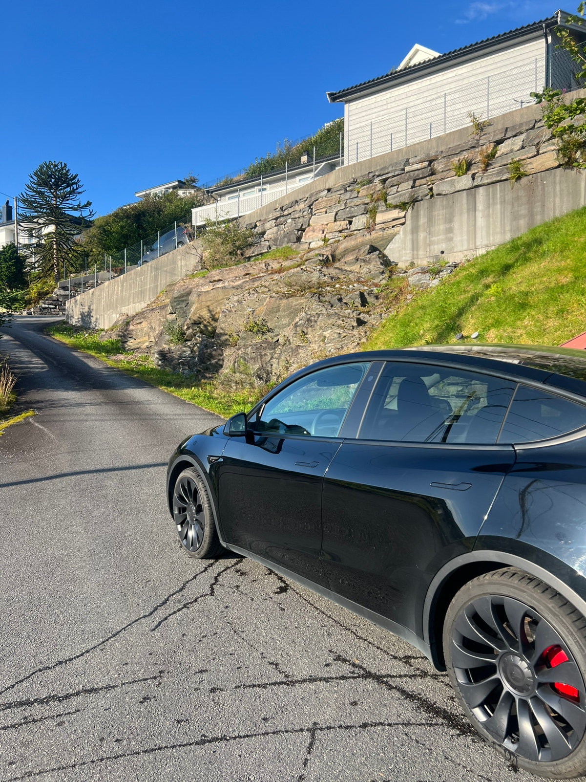 Tesla Model Y Performance, 534hp, 2023