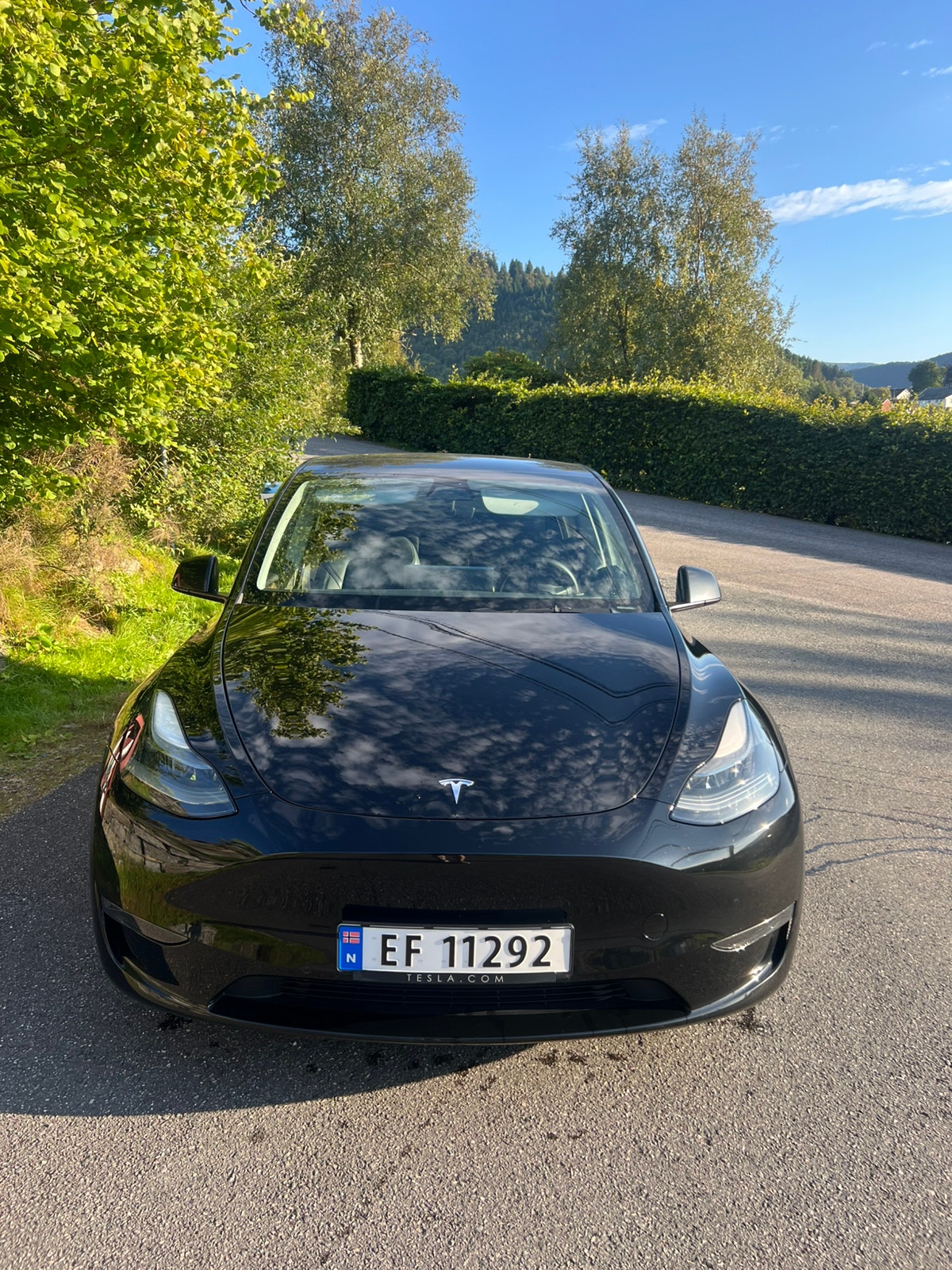 Tesla Model Y Performance, 534hp, 2023