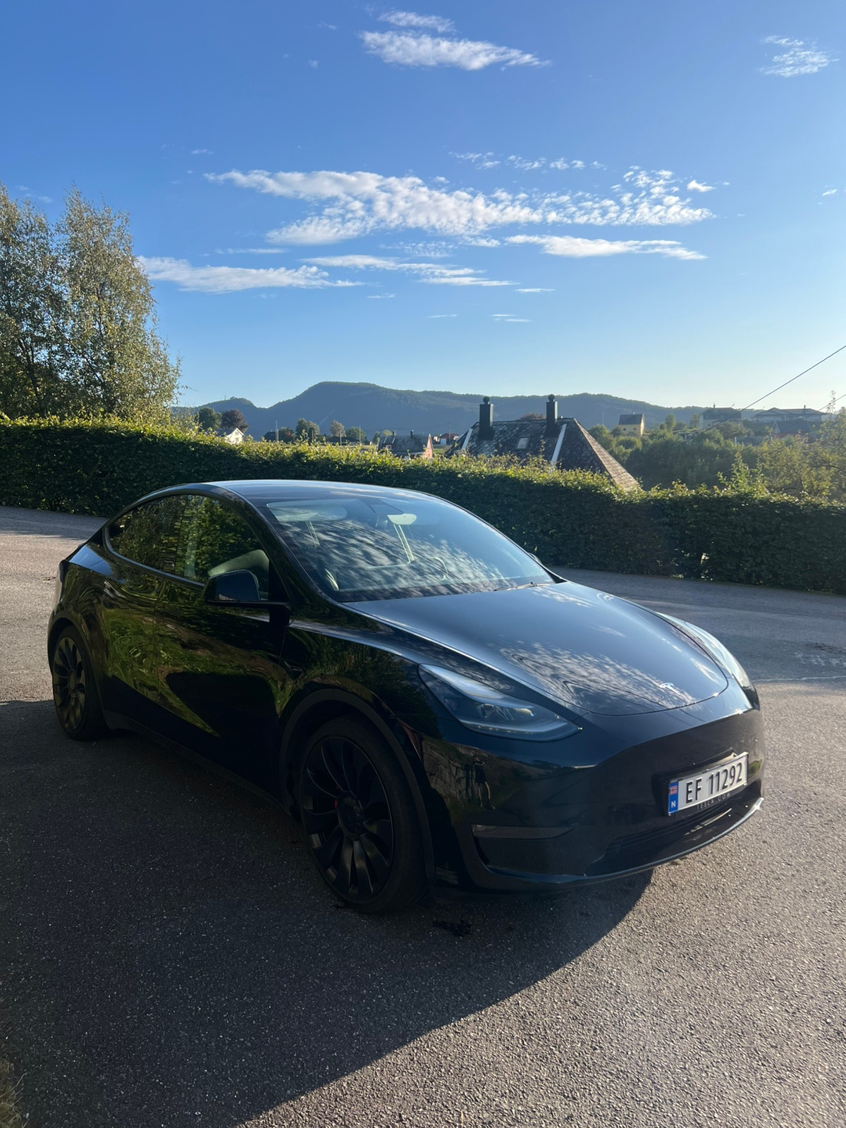 Tesla Model Y Performance, 534hp, 2023