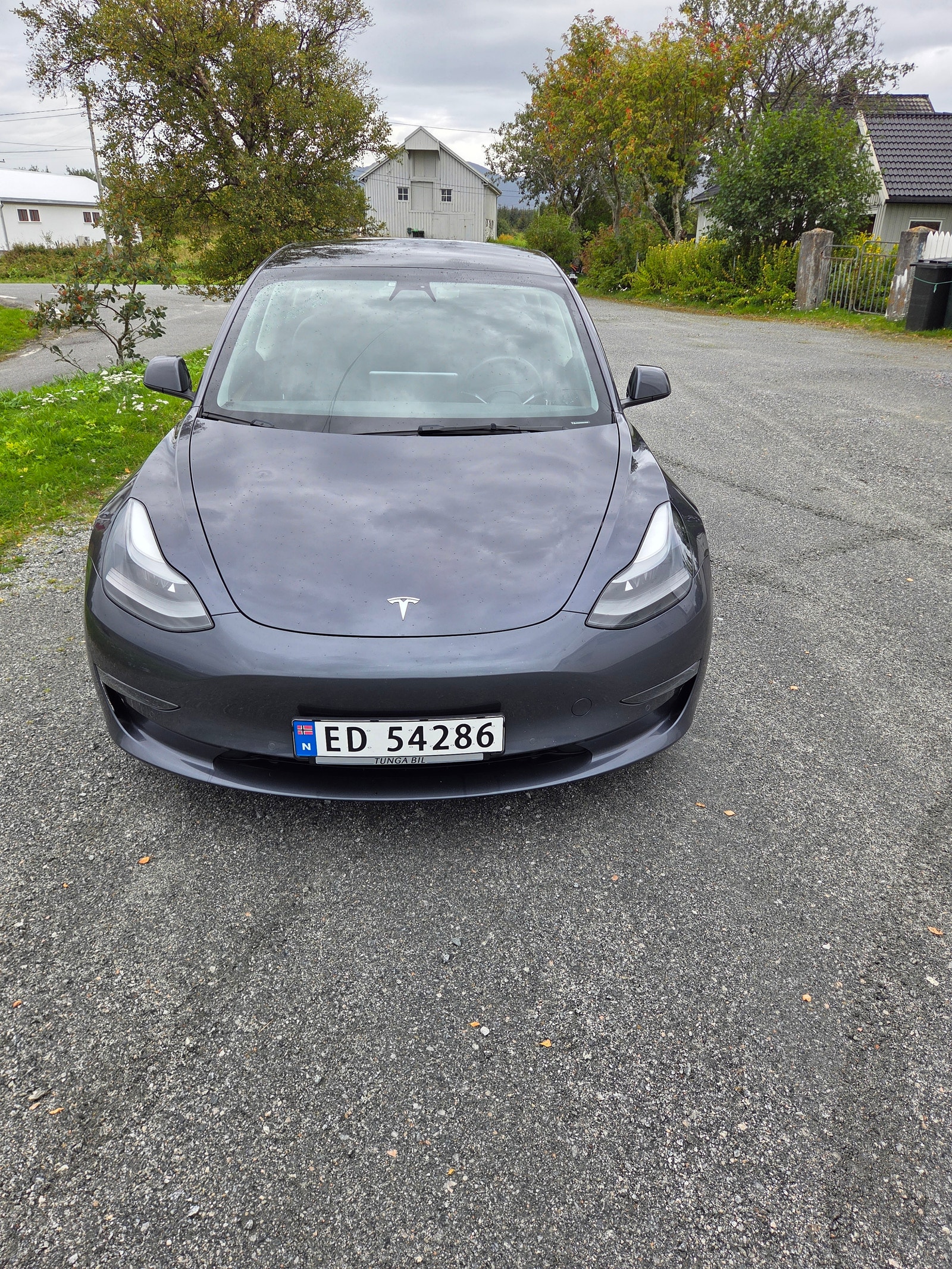 Tesla Model 3 Long Range AWD, 498hp, 2021