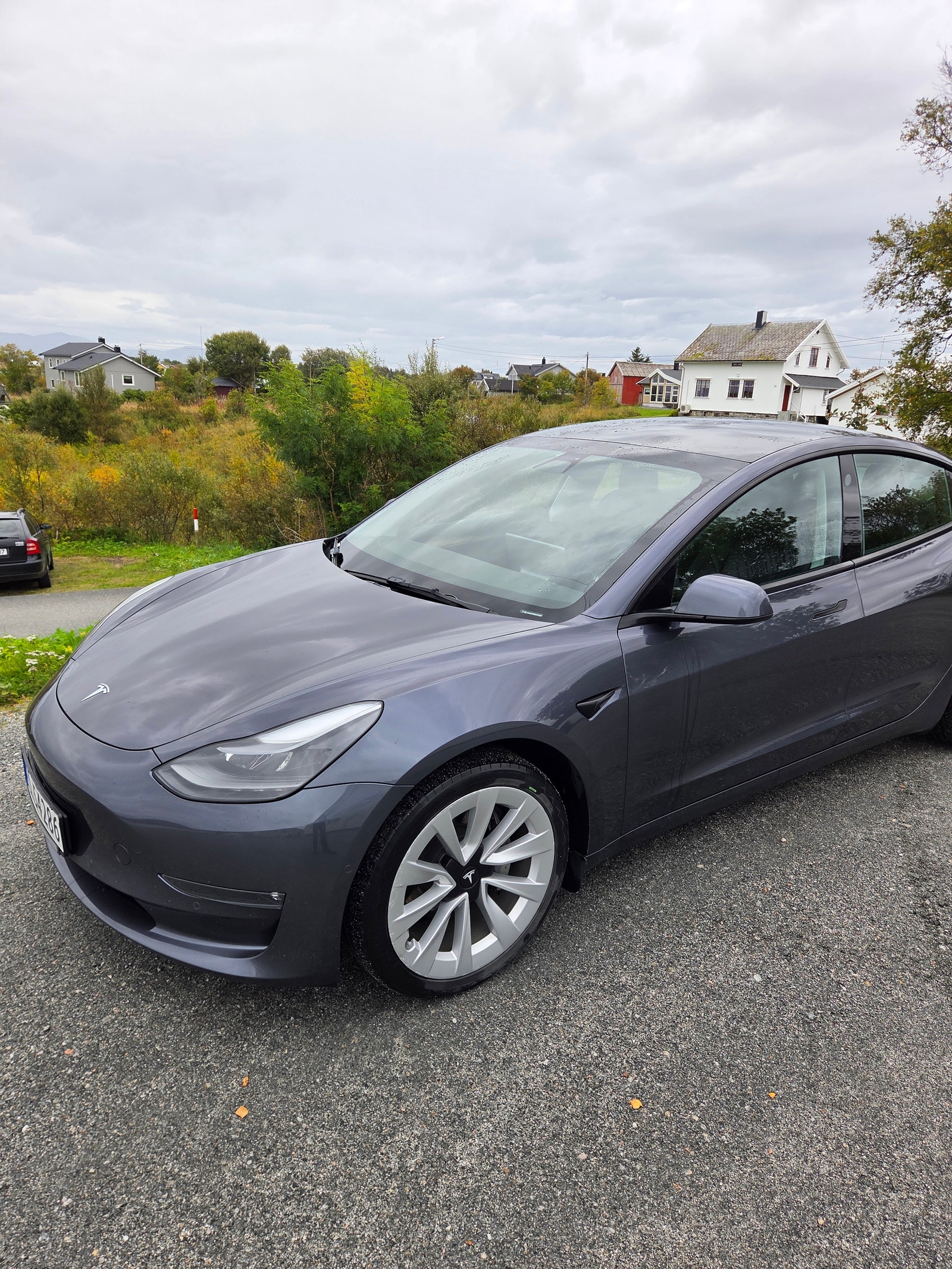 Tesla Model 3 Long Range AWD, 498hp, 2021