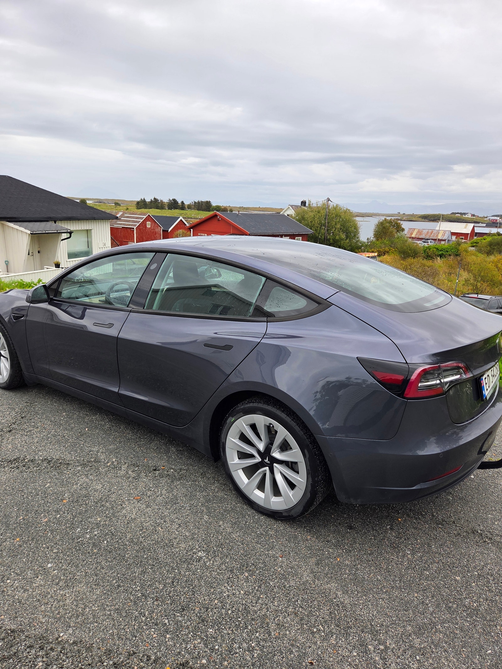 Tesla Model 3 Long Range AWD, 498hp, 2021