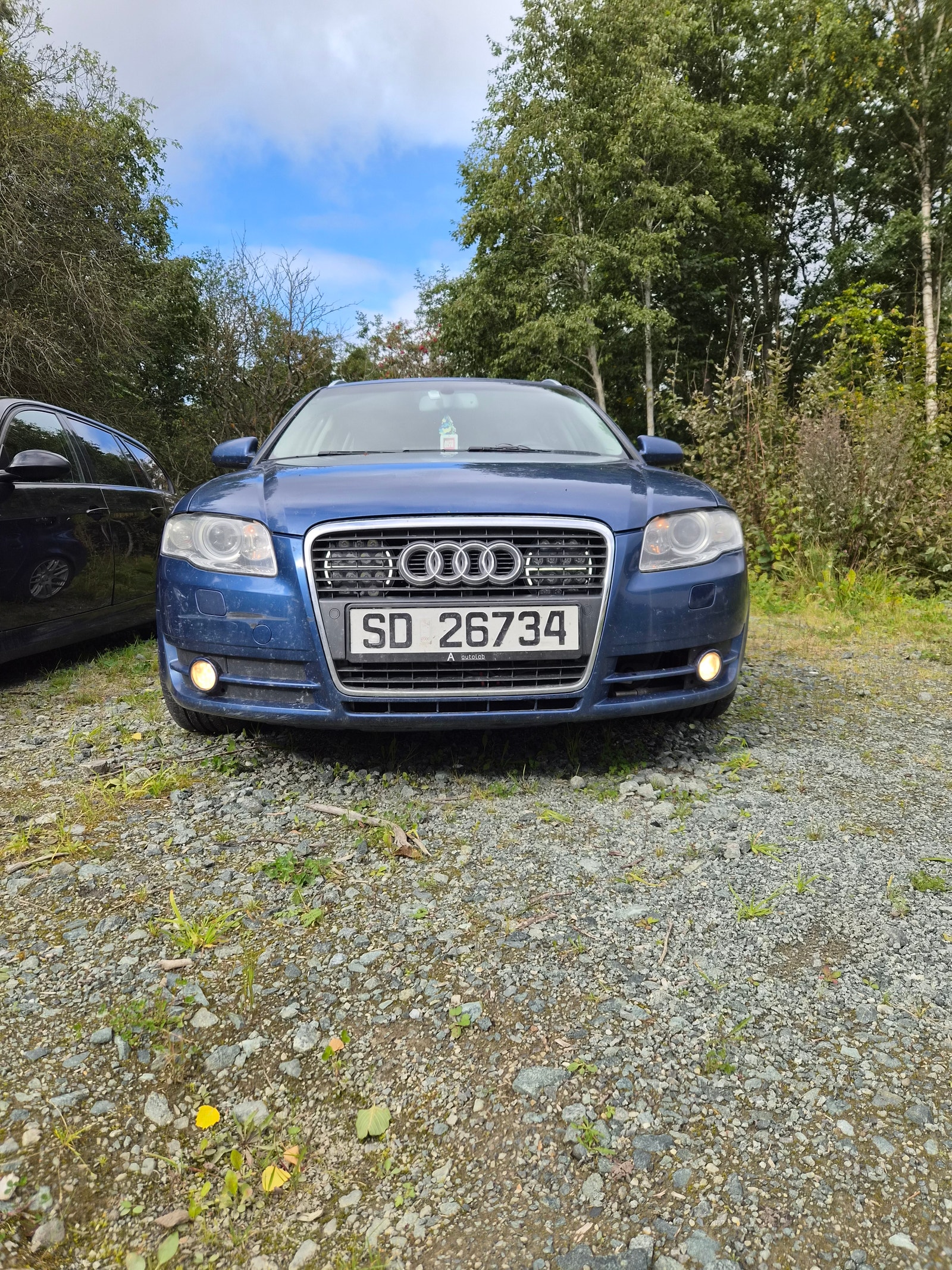 Audi A4 Avant 1.9 TDI Manuell, 115hk, 2005