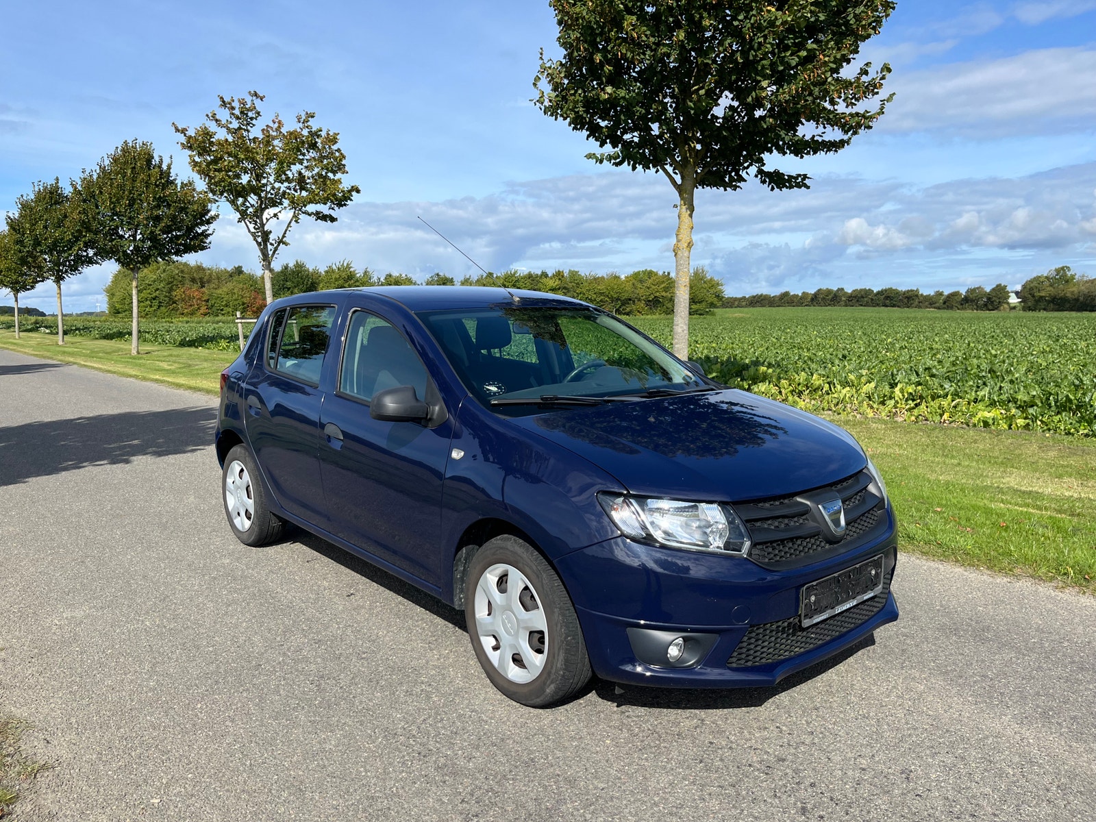 Dacia Sandero 1.2 Manual, 75hp, 2015