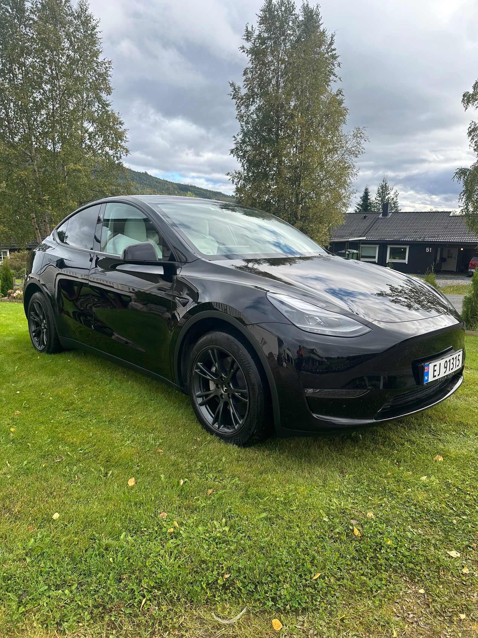 Tesla Model Y Long Range AWD, 514ps, 2025