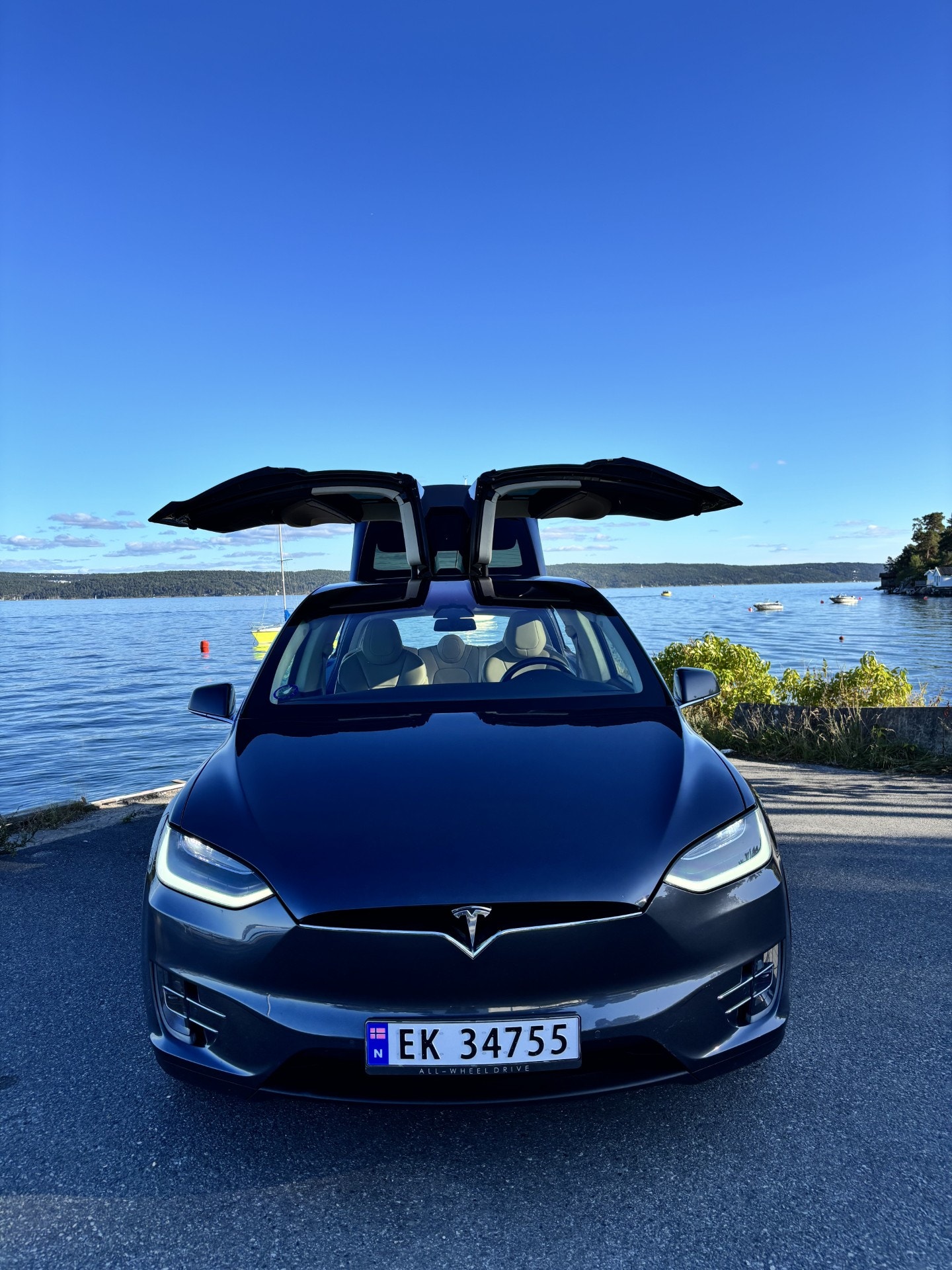 Tesla Model X 75D, 525ps, 2017
