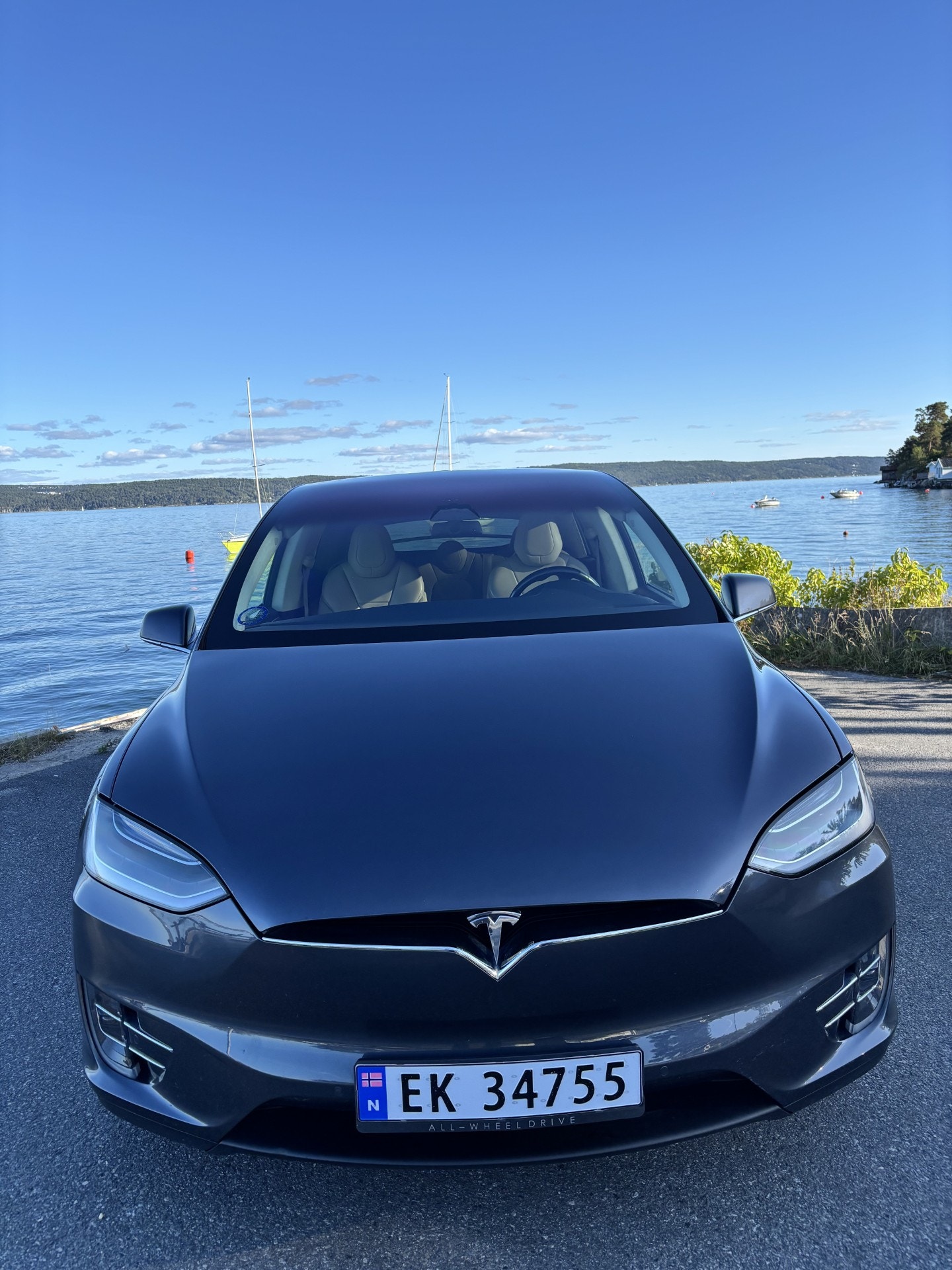 Tesla Model X 75D, 525ps, 2017